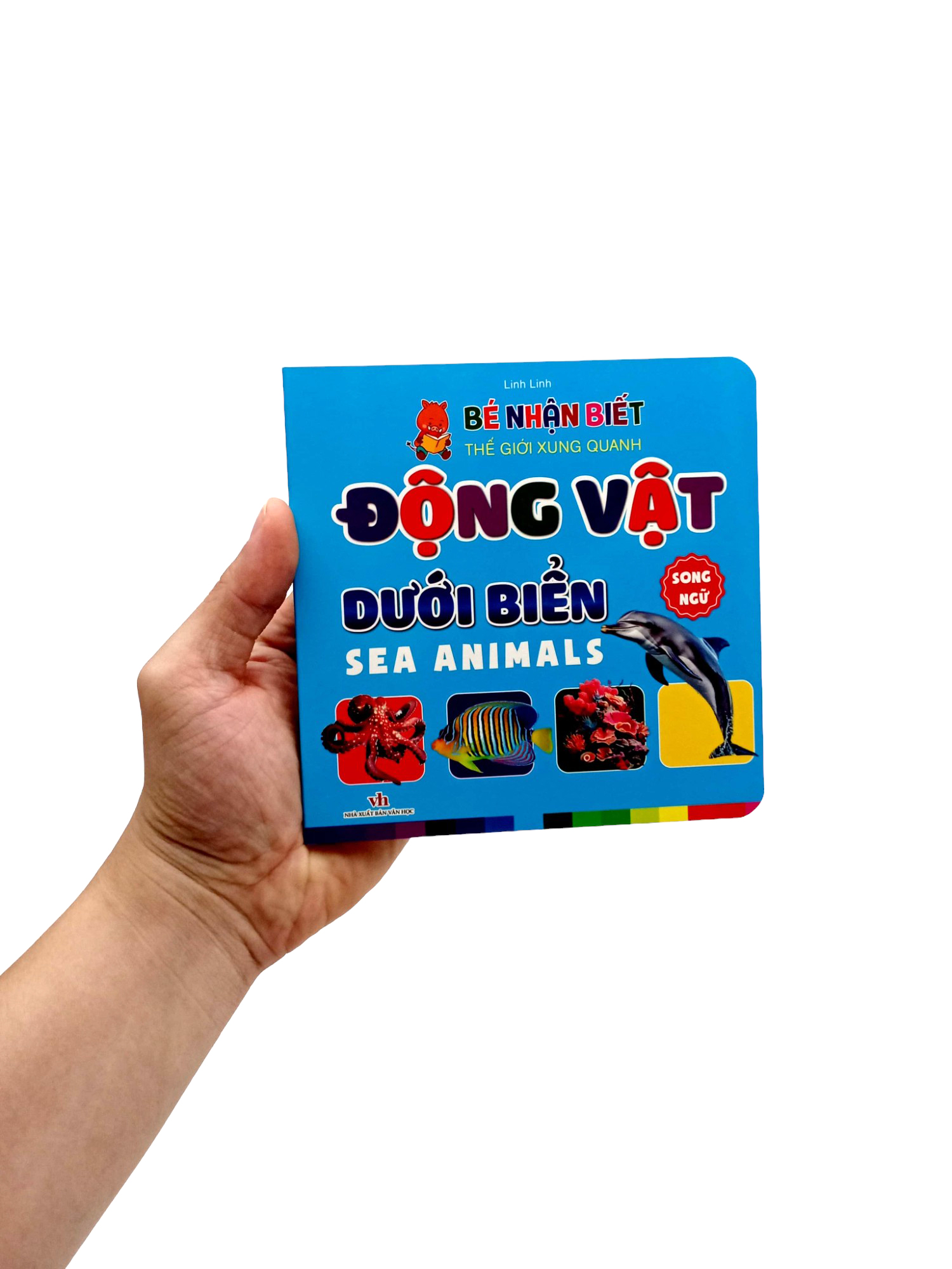 bé nhận biết thế giới xung quanh - động vật dưới biển - sea animals