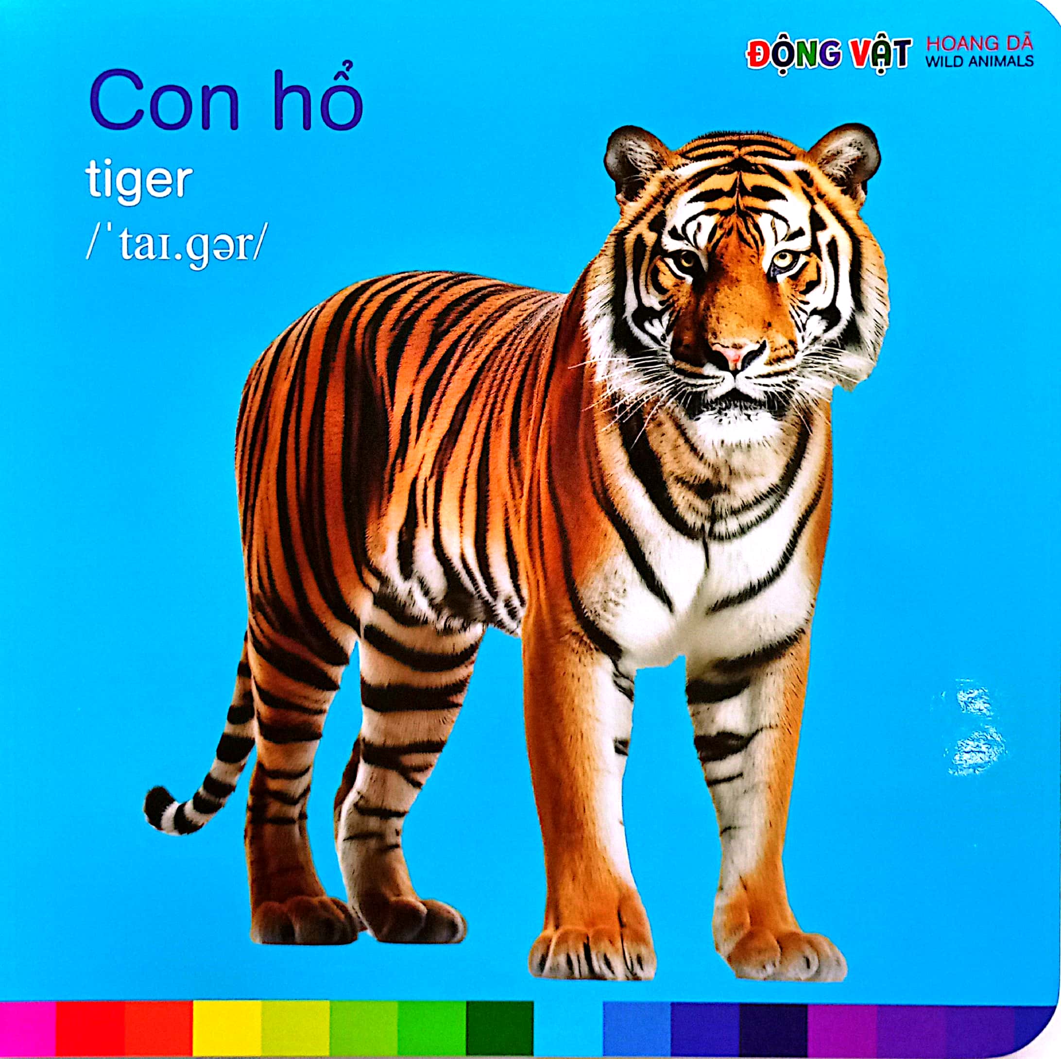 bé nhận biết thế giới xung quanh - động vật hoang dã - wild animals