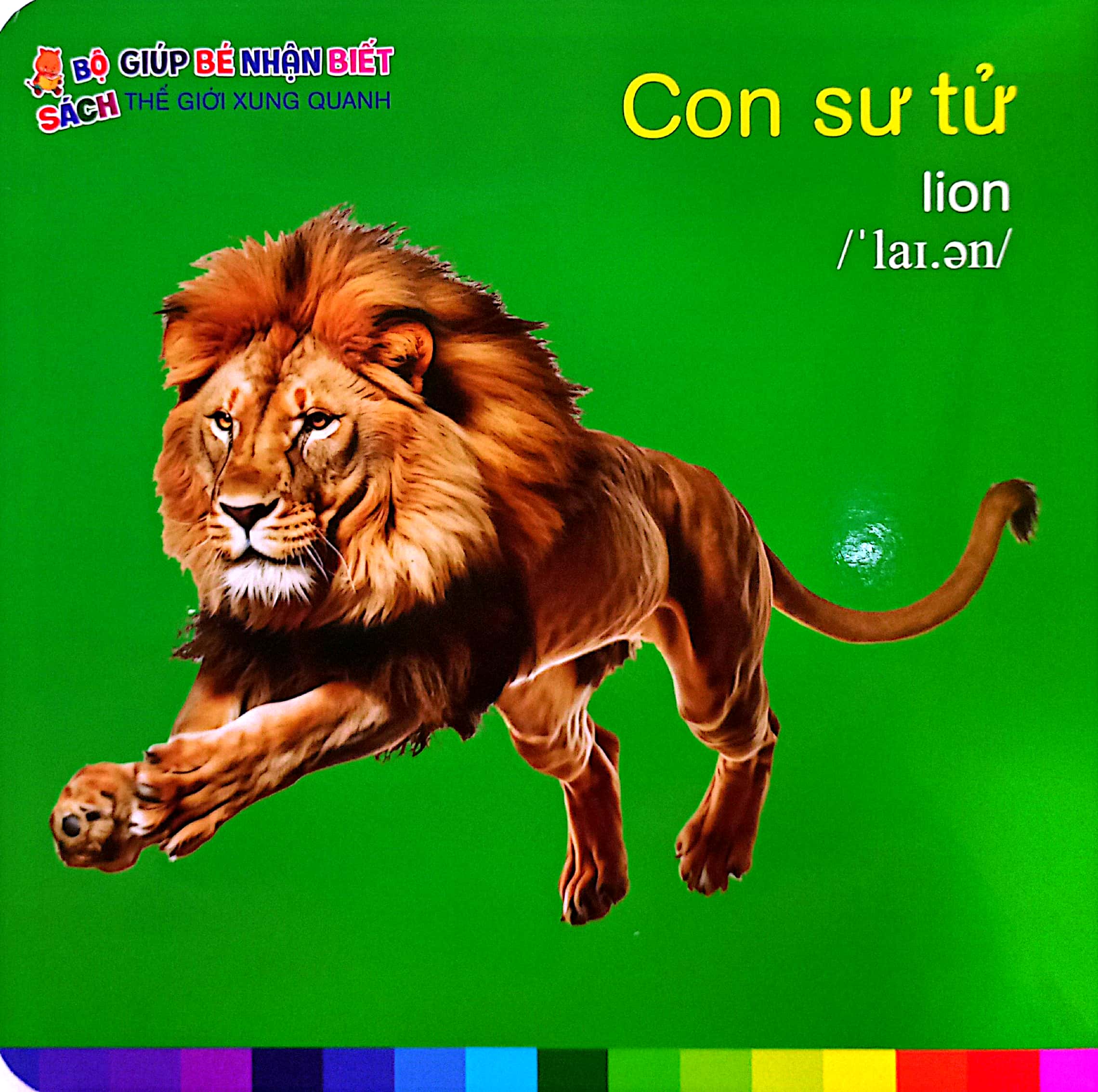 bé nhận biết thế giới xung quanh - động vật hoang dã - wild animals