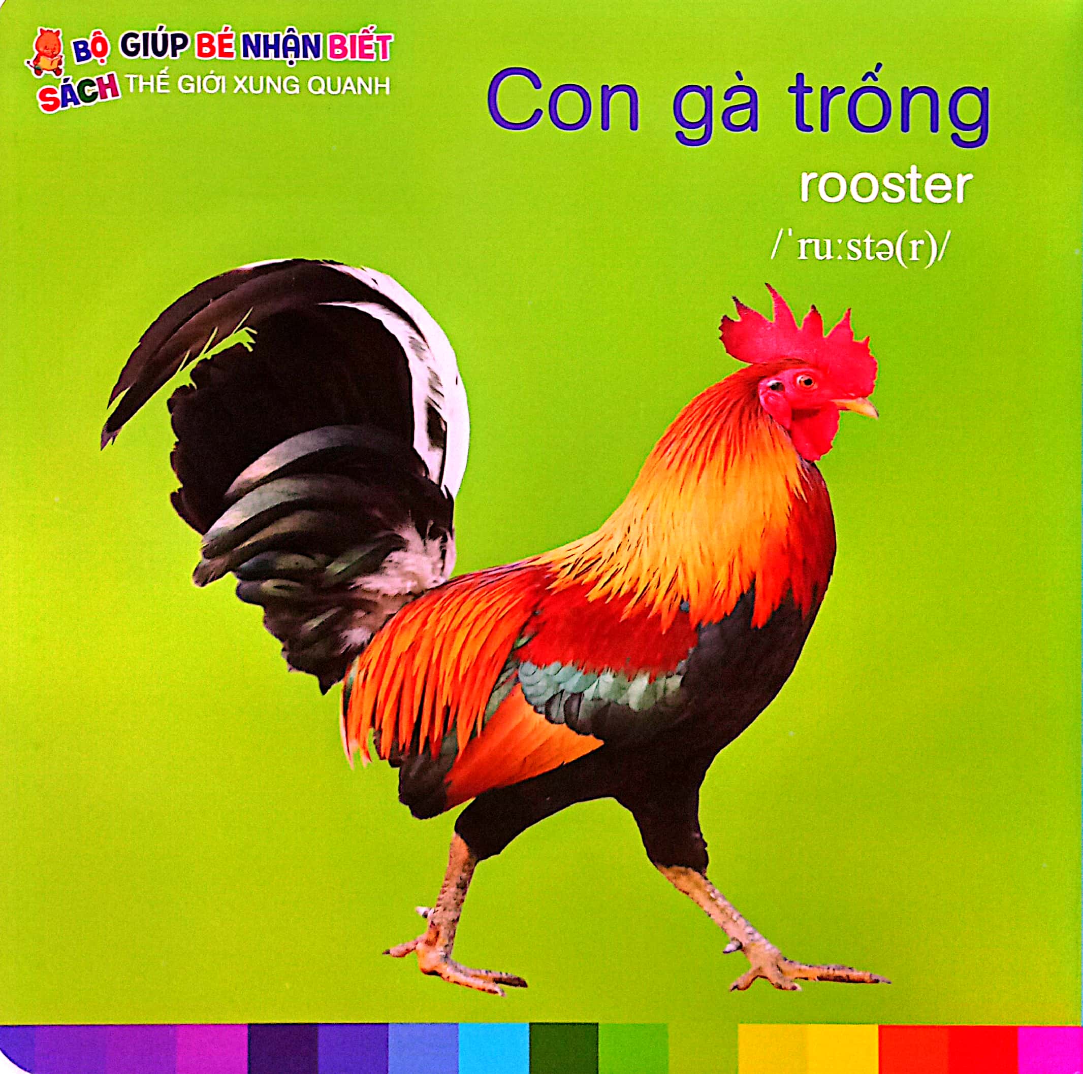 bé nhận biết thế giới xung quanh - động vật nuôi - domestic animals