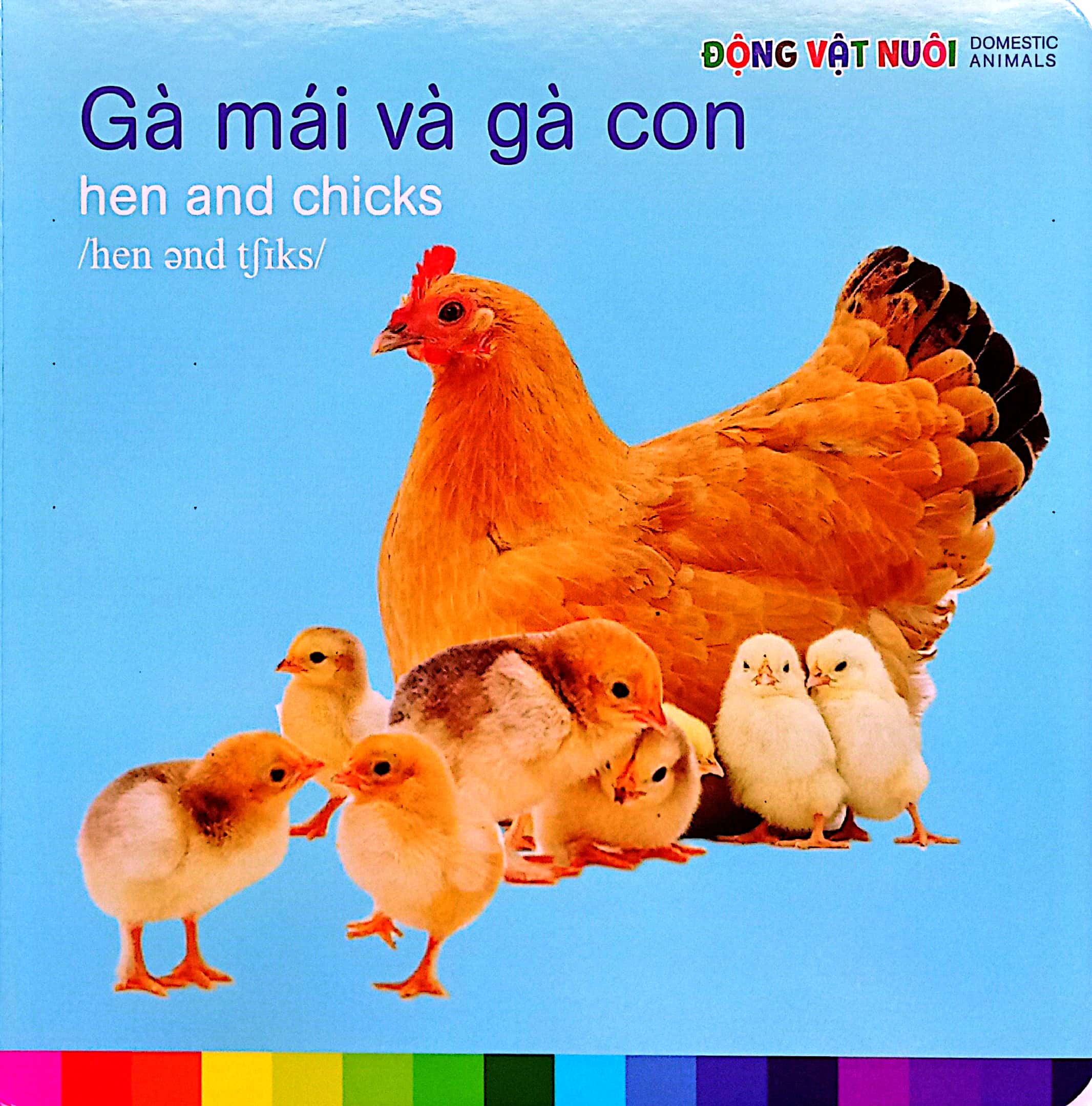 bé nhận biết thế giới xung quanh - động vật nuôi - domestic animals