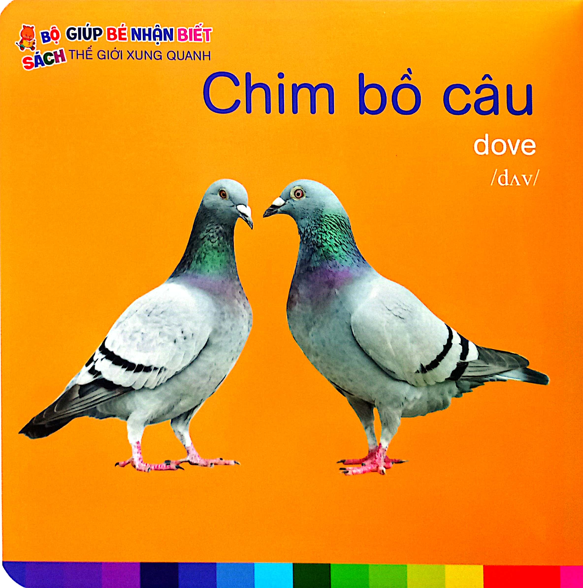 bé nhận biết thế giới xung quanh - động vật nuôi - domestic animals