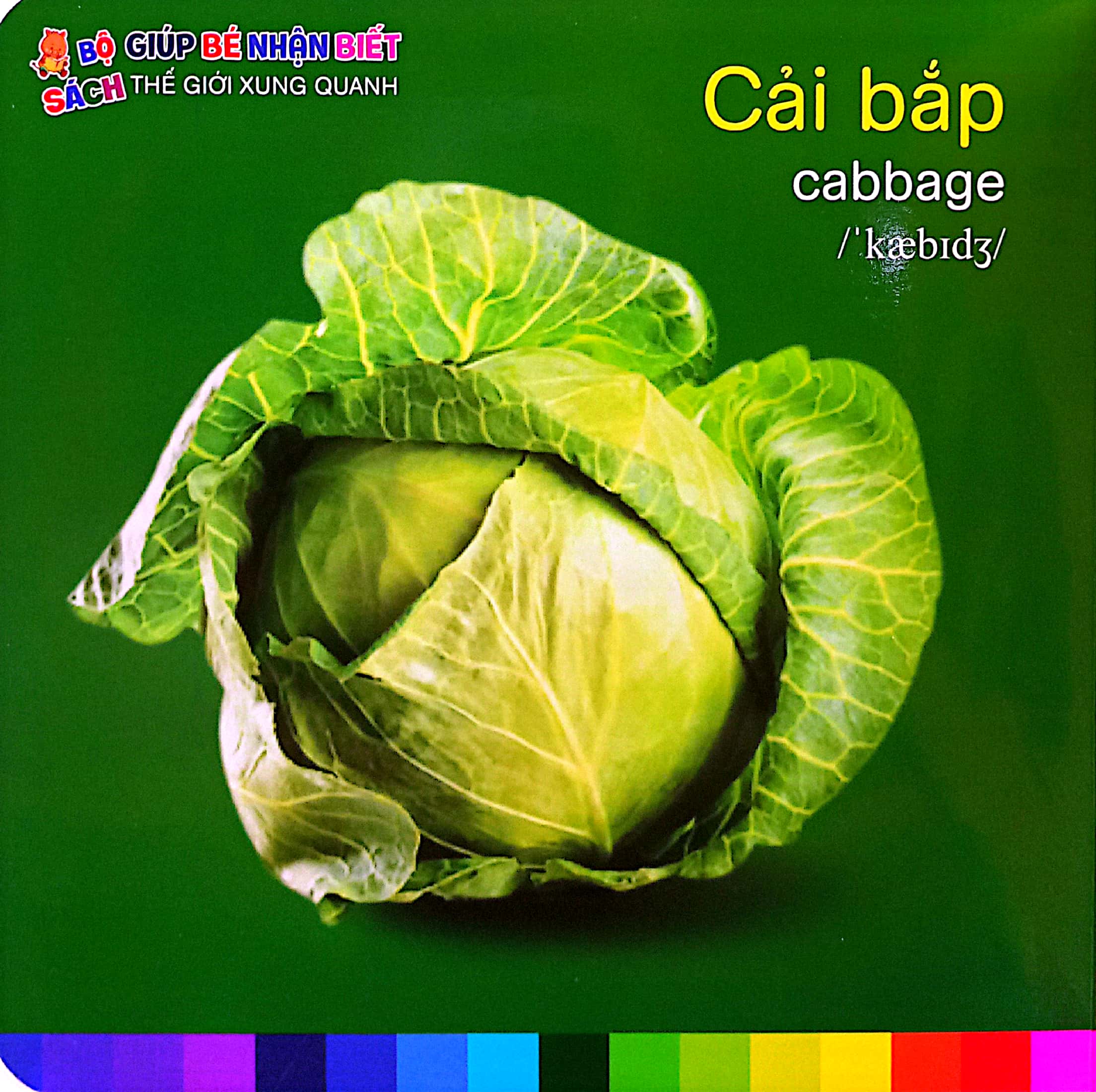 bé nhận biết thế giới xung quanh - rau củ quả - vegetalbles