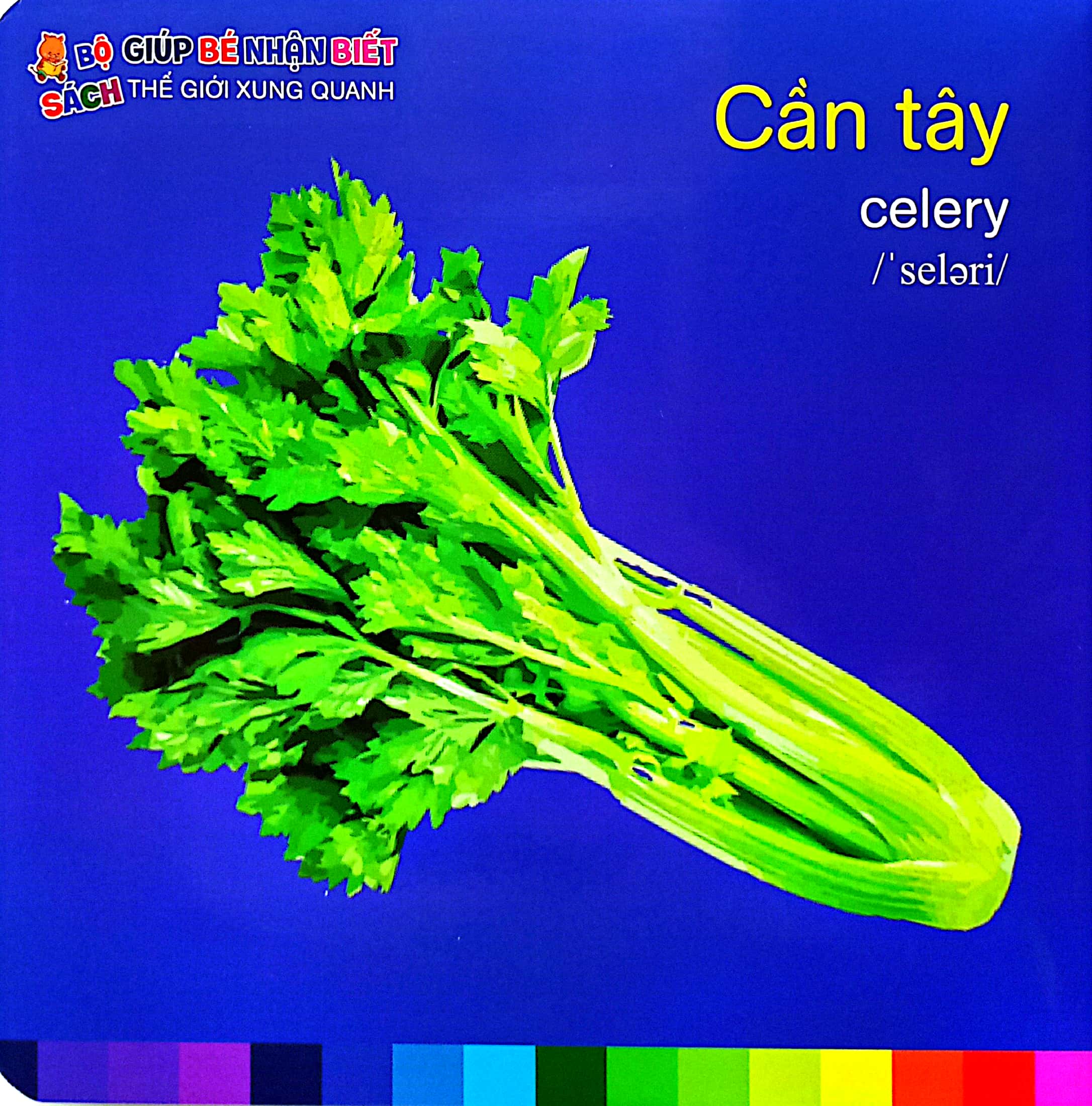 bé nhận biết thế giới xung quanh - rau củ quả - vegetalbles