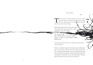 bé sương mù và những gã đa sắc