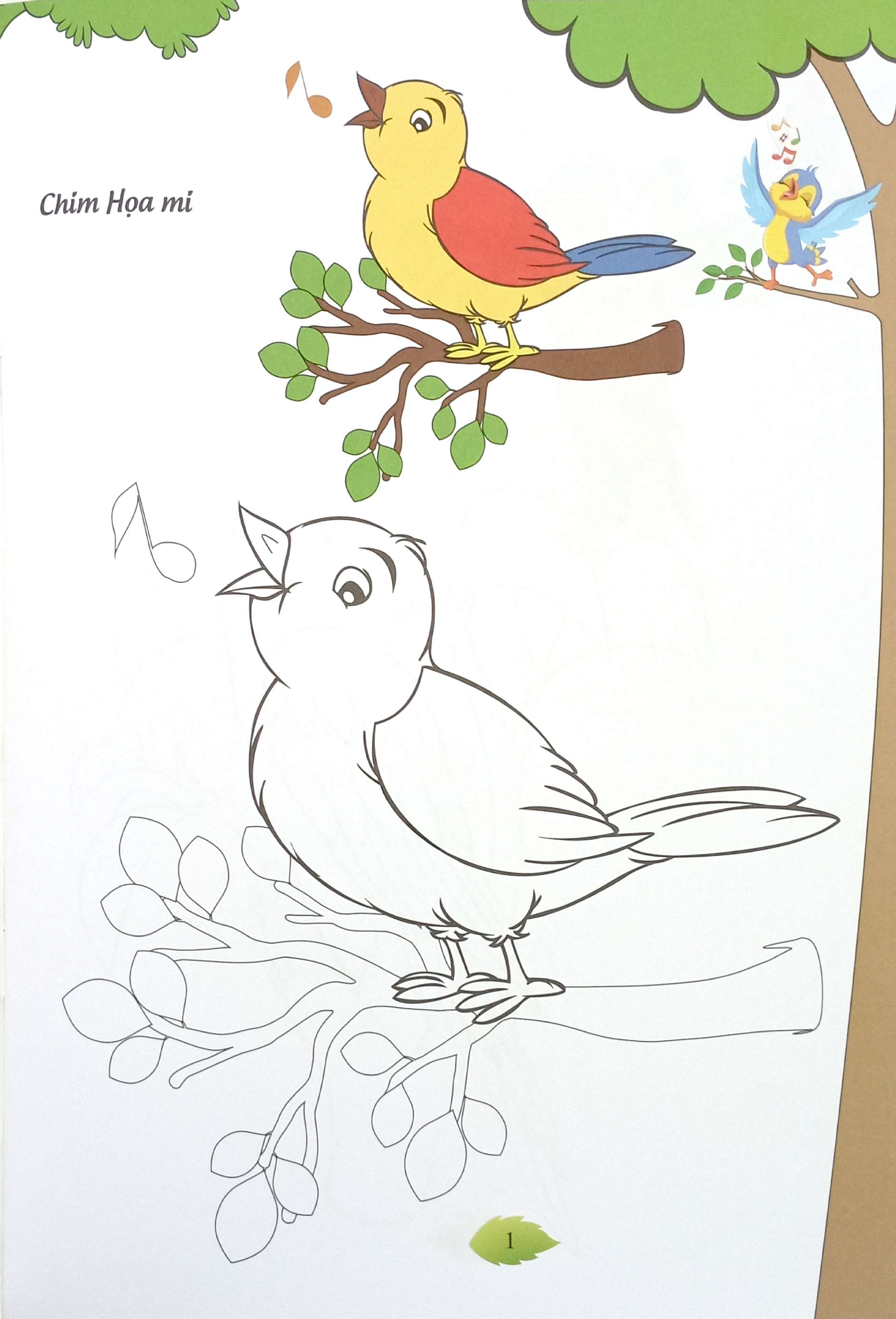 bé tập tô màu - các loài chim