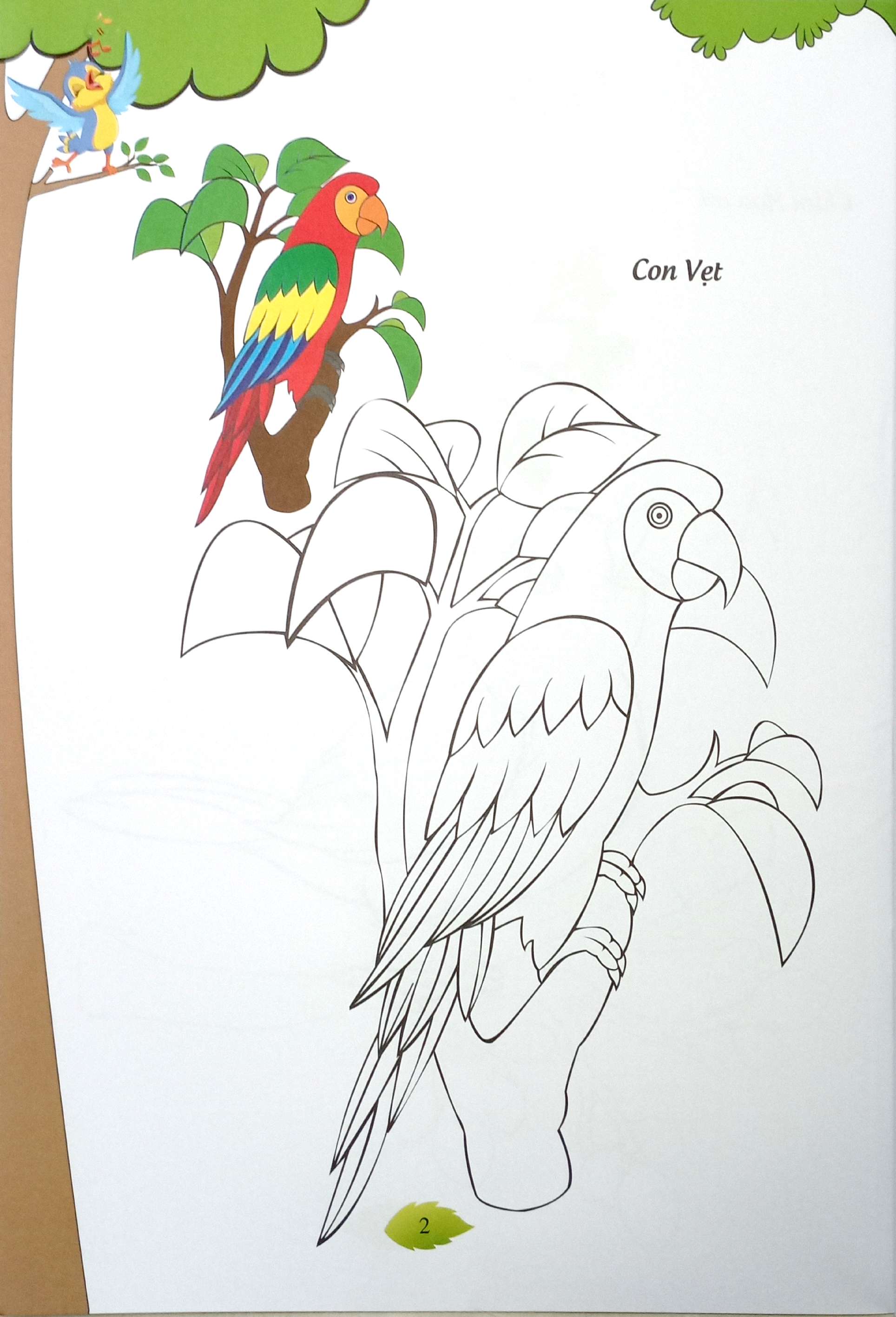 bé tập tô màu - các loài chim
