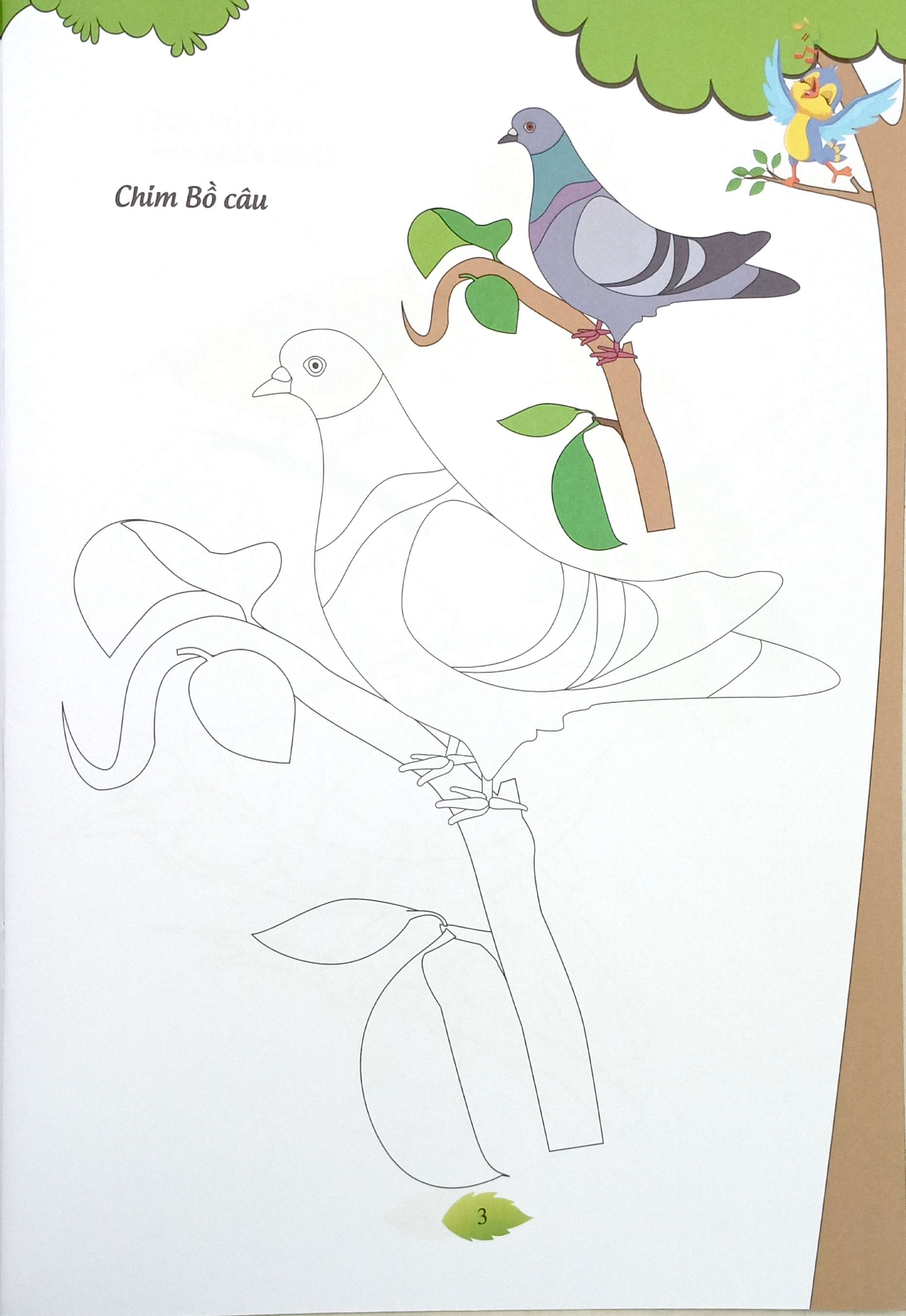 bé tập tô màu - các loài chim