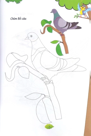 bé tập tô màu - các loài chim (tái bản 2023)
