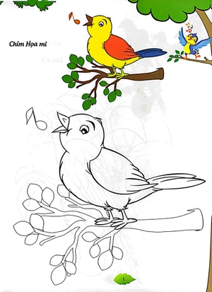 bé tập tô màu - các loài chim (tái bản 2023)