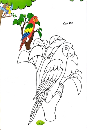 bé tập tô màu - các loài chim (tái bản 2023)