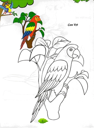 bé tập tô màu - các loài chim (tái bản 2023)