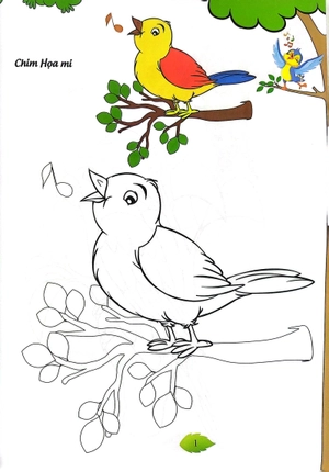 bé tập tô màu - các loài chim (tái bản 2023)