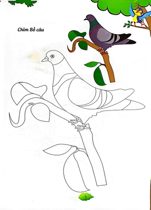 bé tập tô màu - các loài chim (tái bản 2023)
