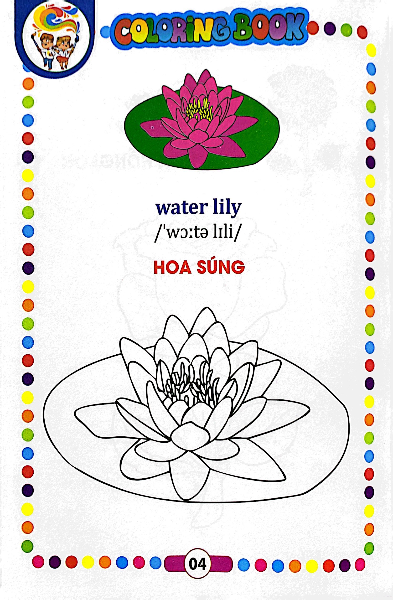 bé tập tô màu - các loài hoa (song ngữ anh - việt)