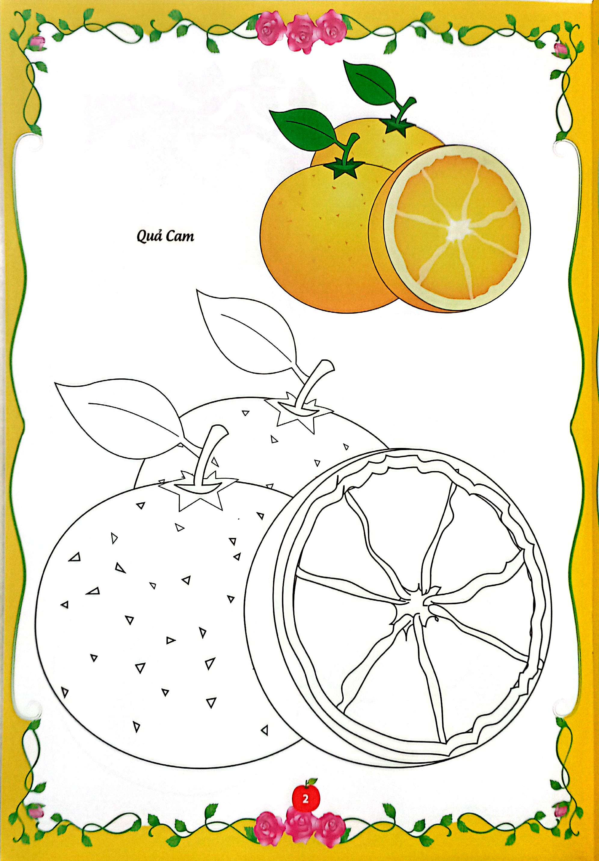 bé tập tô màu - củ, quả