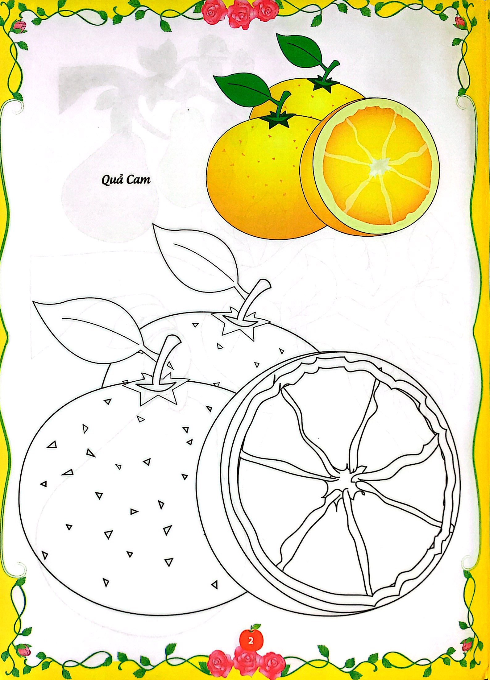 bé tập tô màu - củ, quả (tái bản 2023)