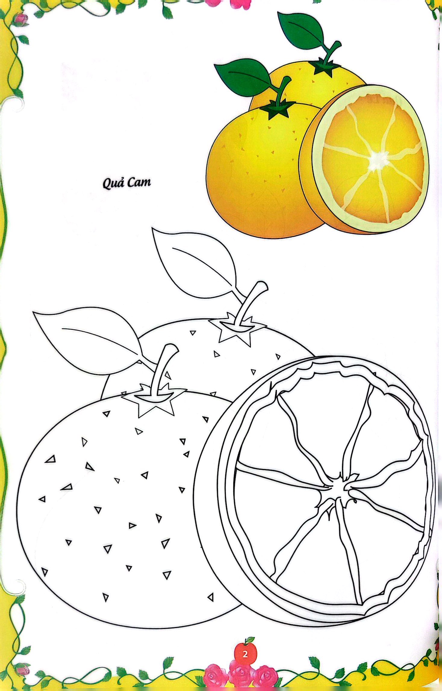 bé tập tô màu - củ, quả (tái bản 2023)