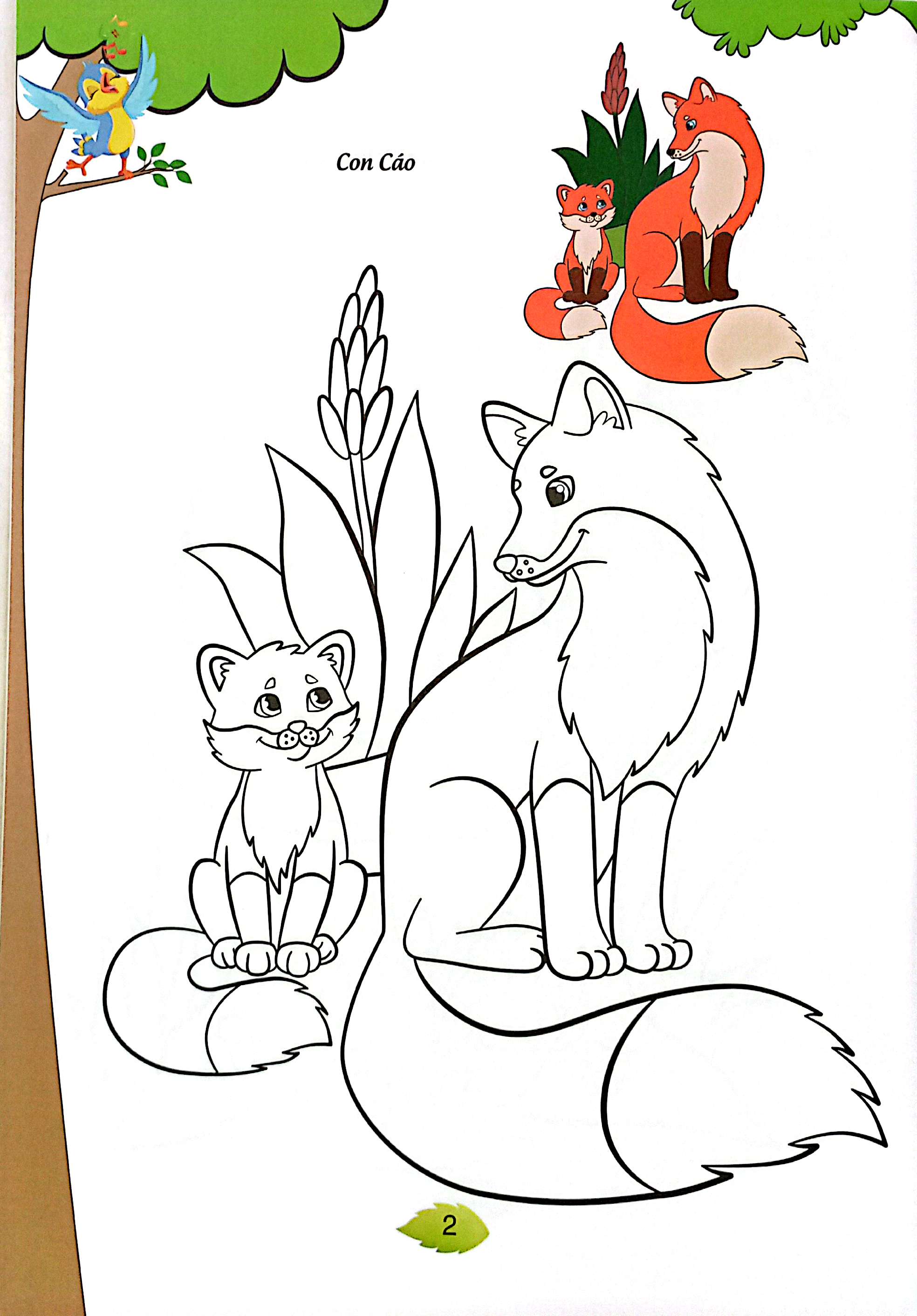 bé tập tô màu - động vật hoang dã