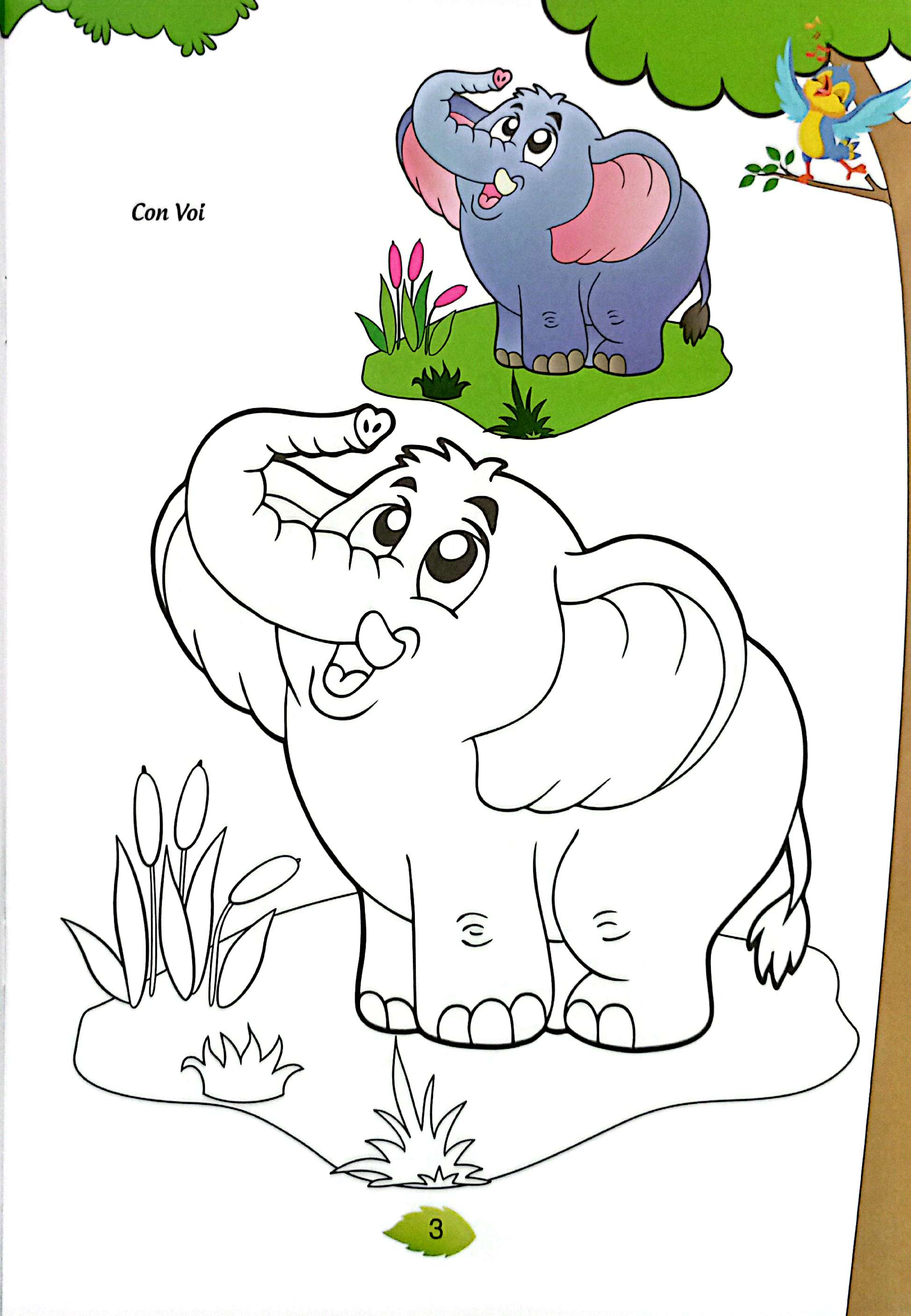 bé tập tô màu - động vật hoang dã