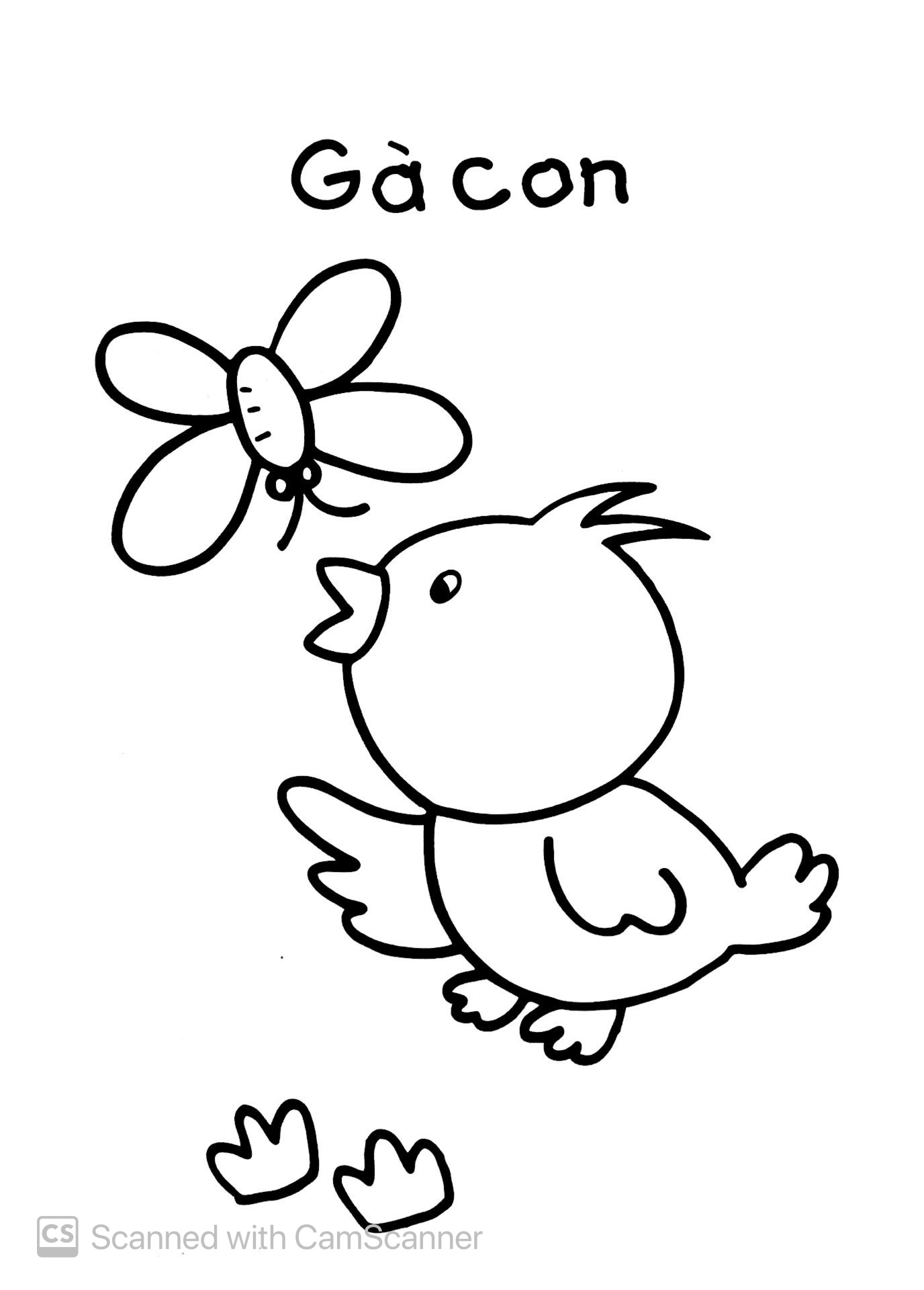 bé tập tô màu - động vật (tái bản 2019)