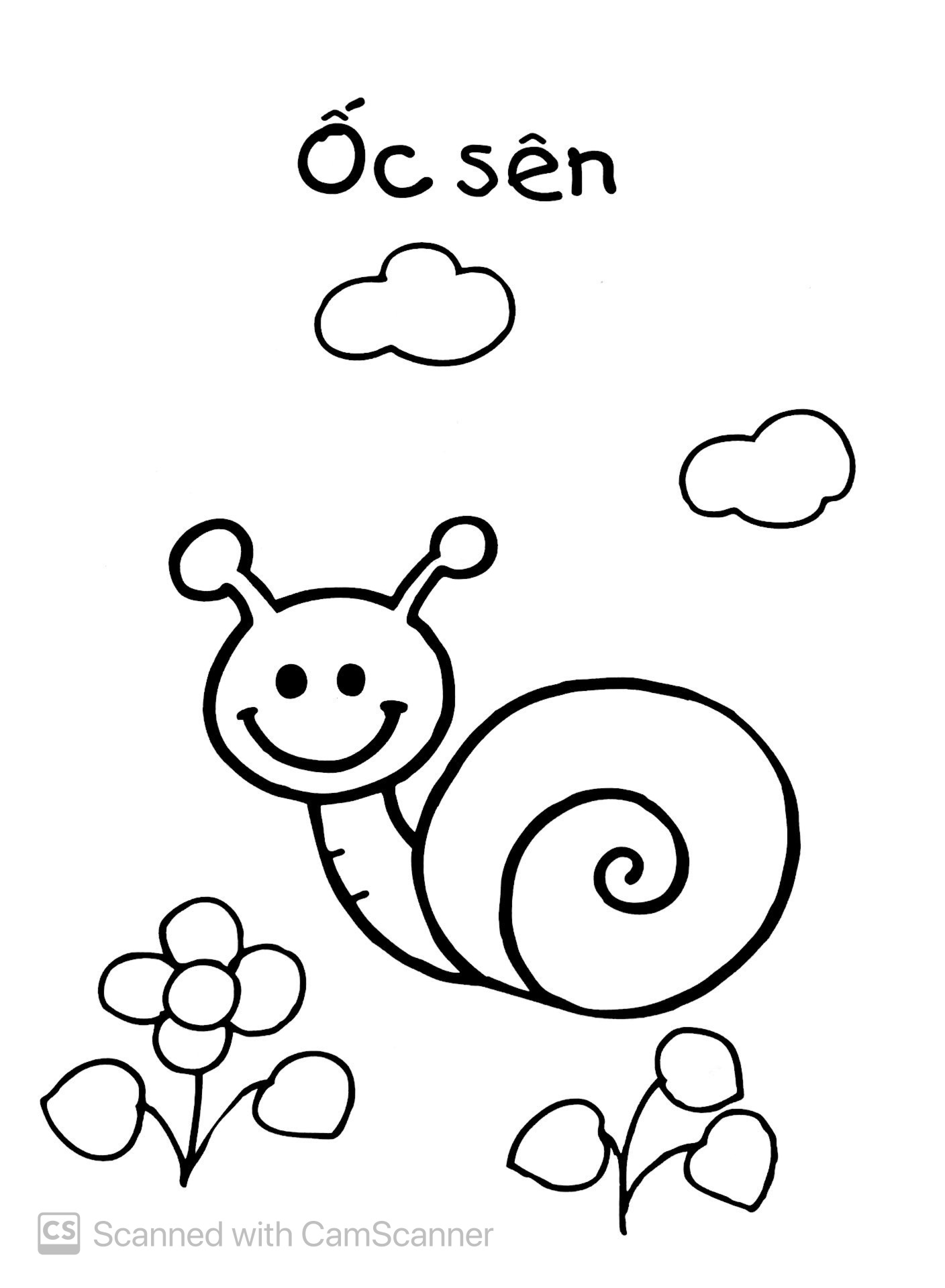 bé tập tô màu - động vật (tái bản 2019)