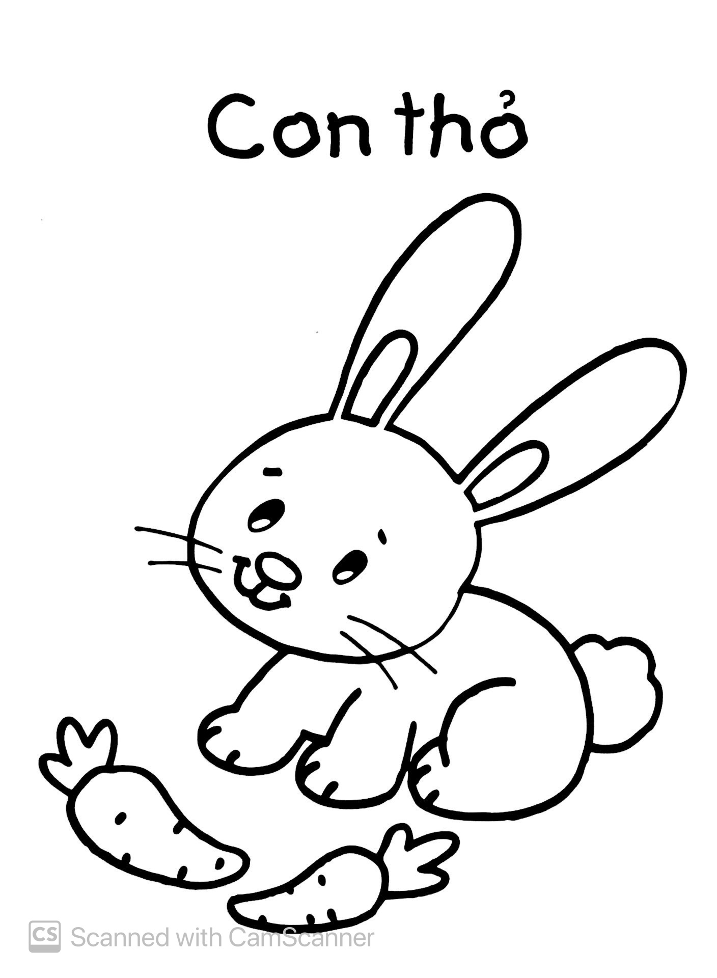 bé tập tô màu - động vật (tái bản 2019)