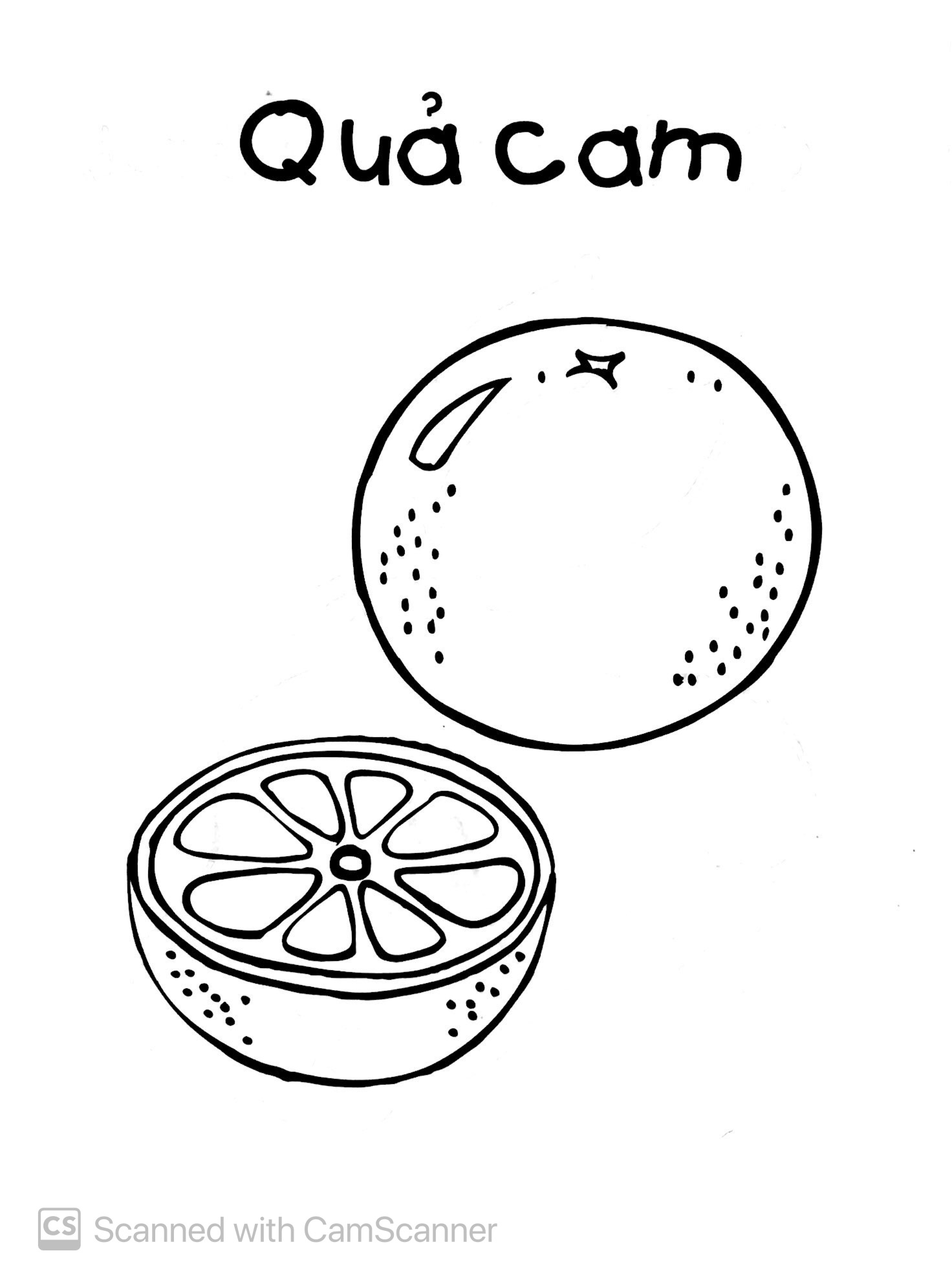 bé tập tô màu - trái cây (tái bản 2019)