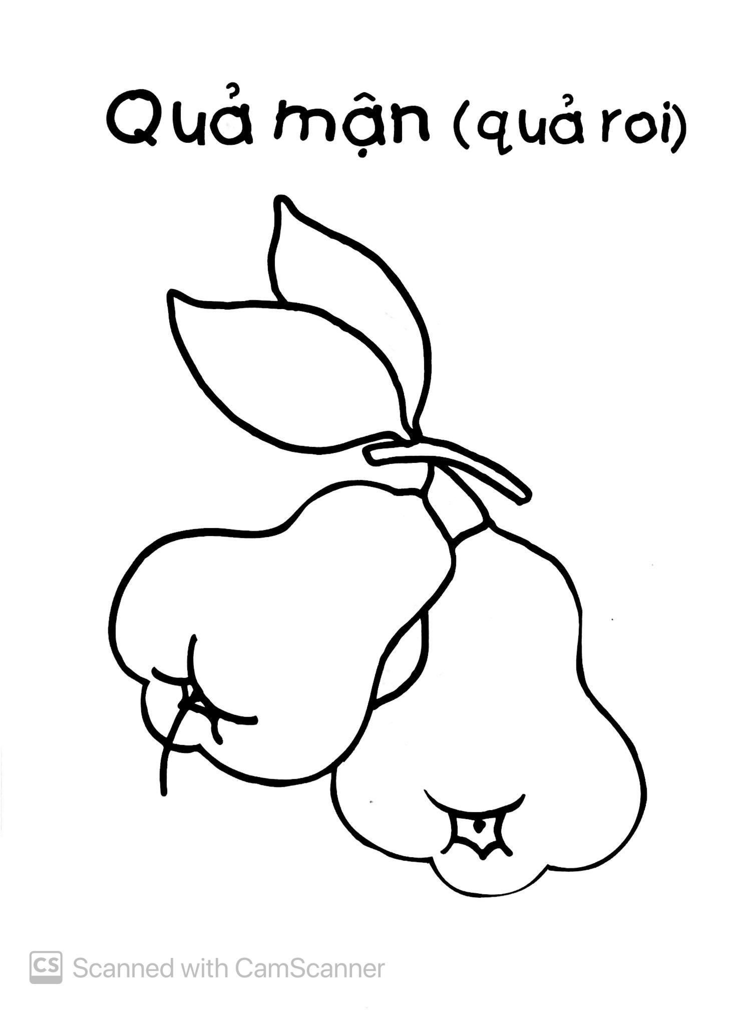 bé tập tô màu - trái cây (tái bản 2019)