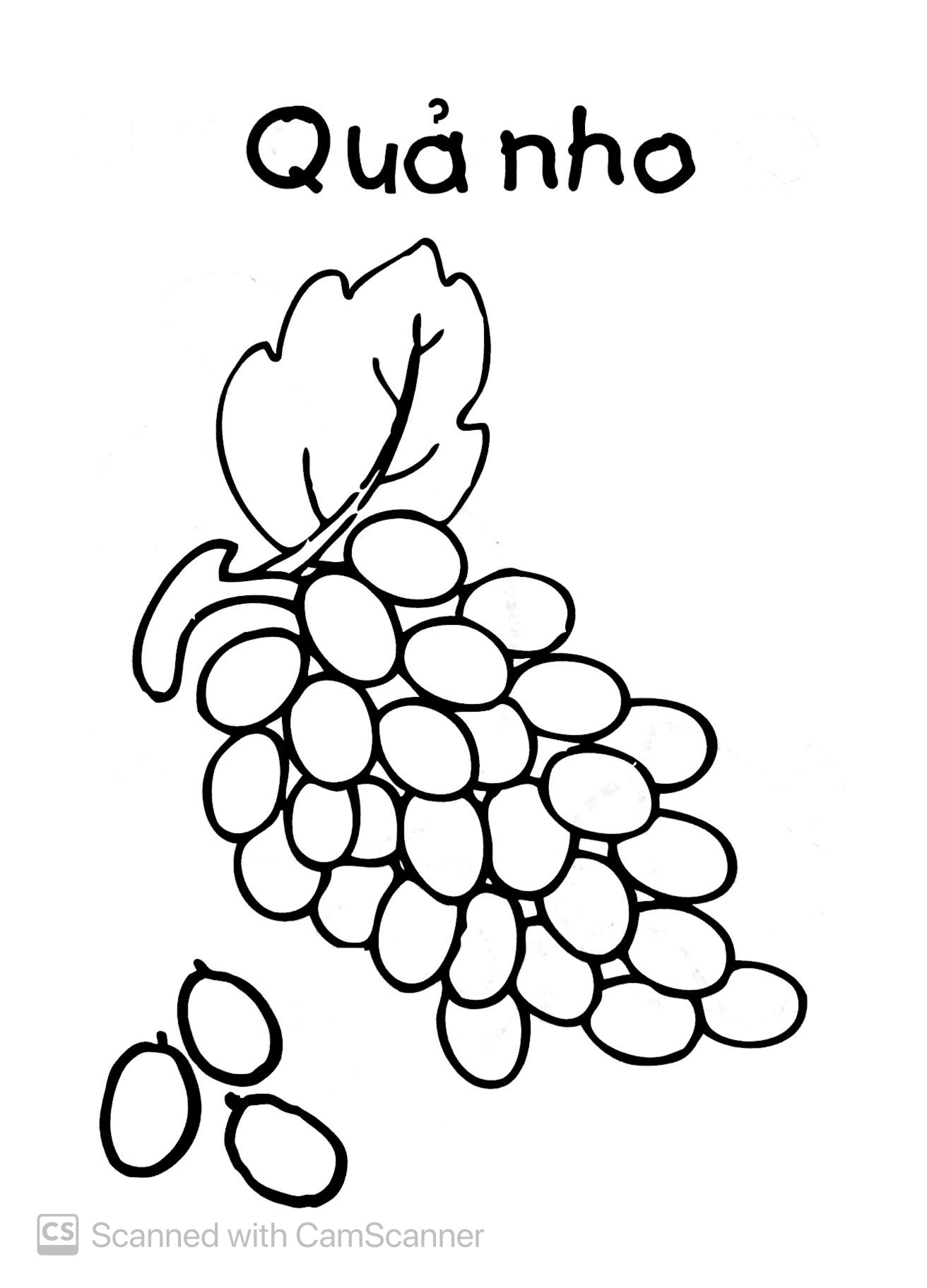 bé tập tô màu - trái cây (tái bản 2019)