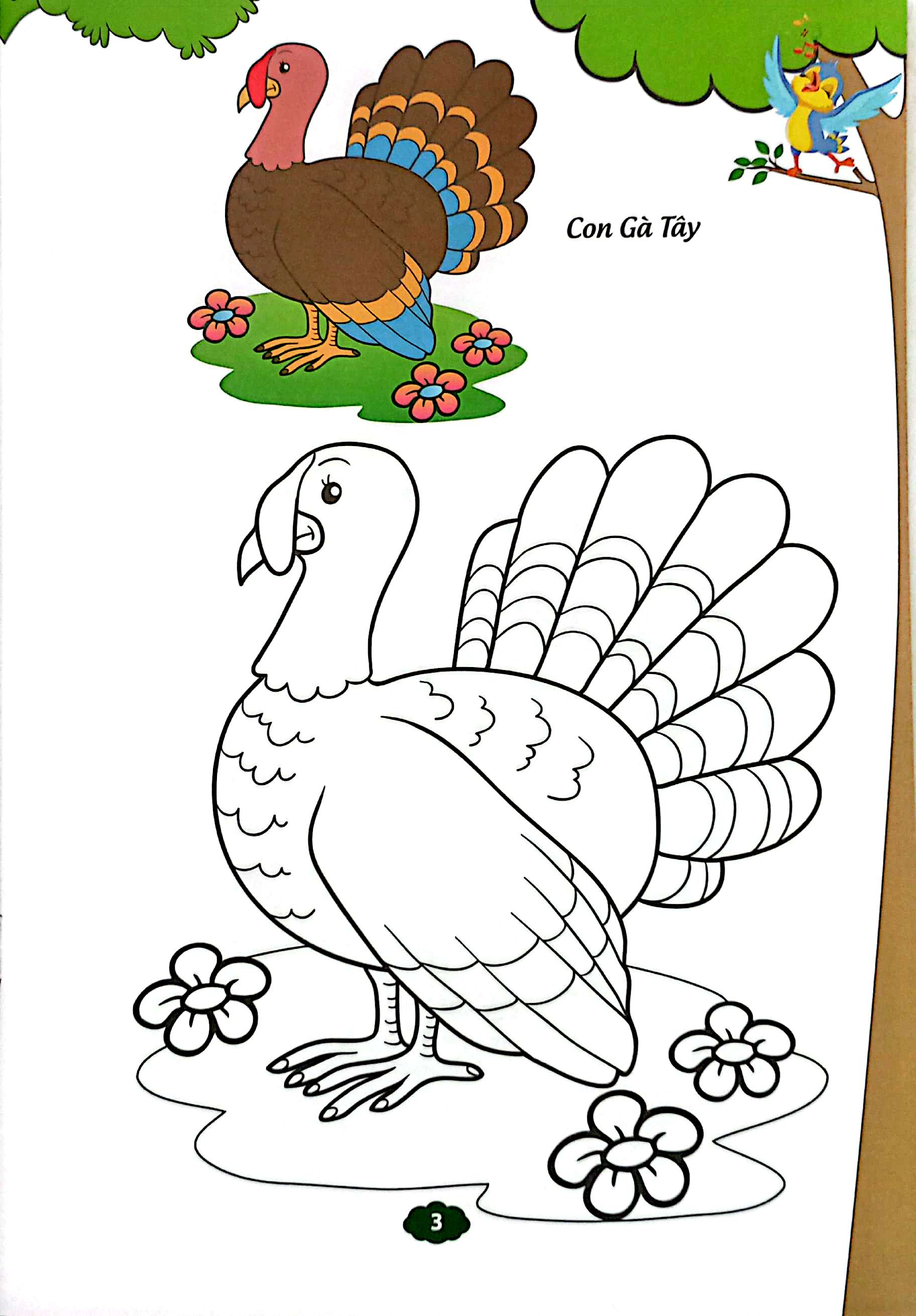 Be Tap To Mau - Vat Nuoi