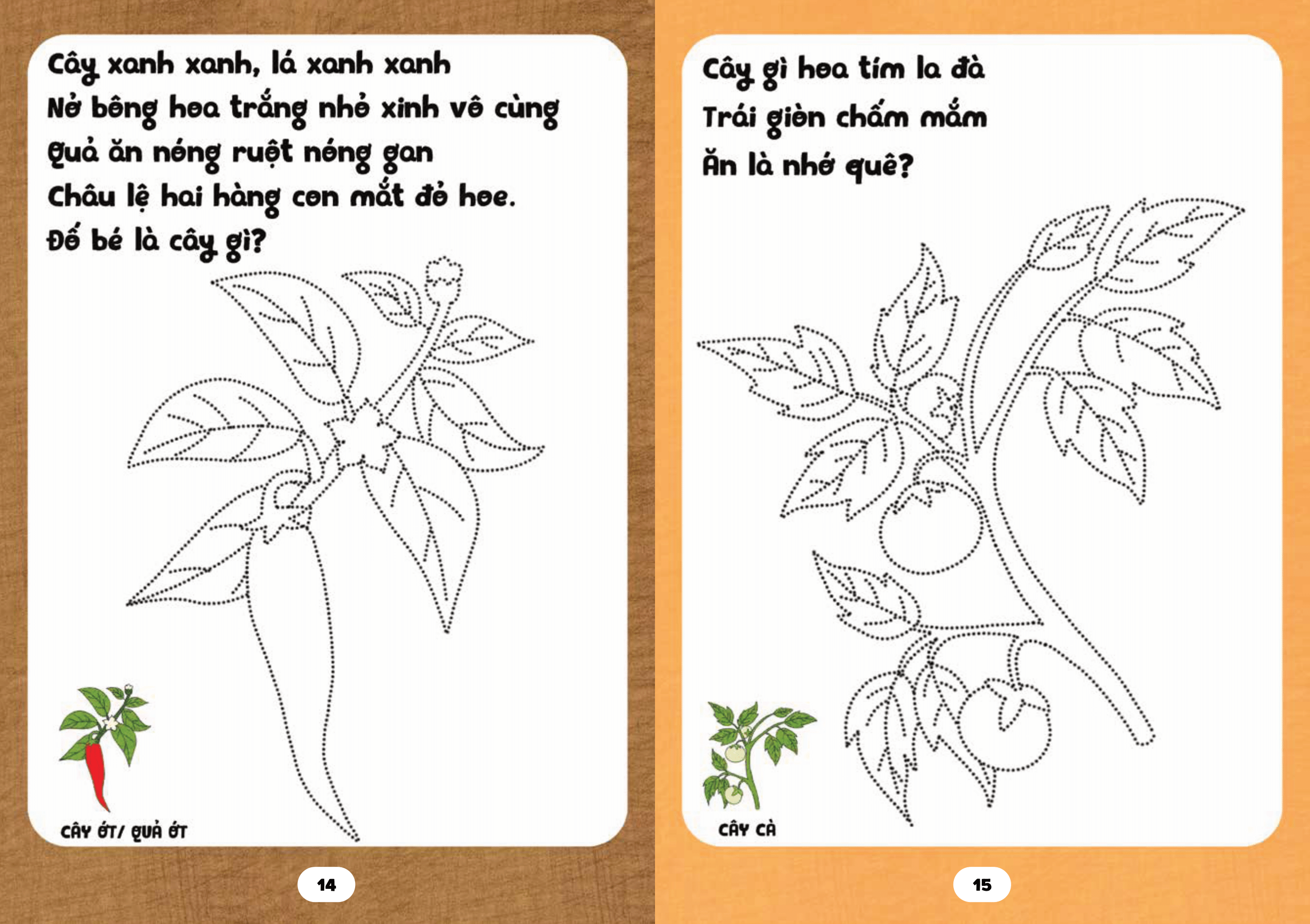 bé tập tô phát triển tư duy - câu đố về các loài cây