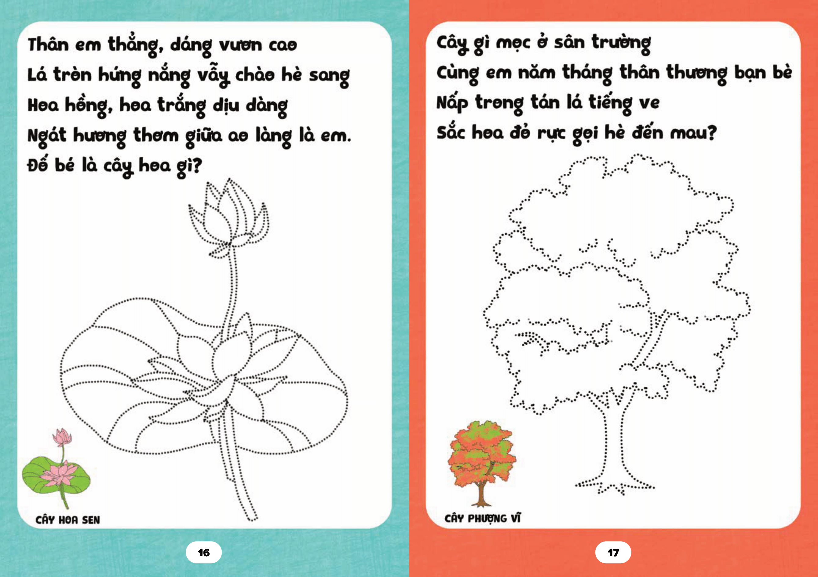 bé tập tô phát triển tư duy - câu đố về các loài cây