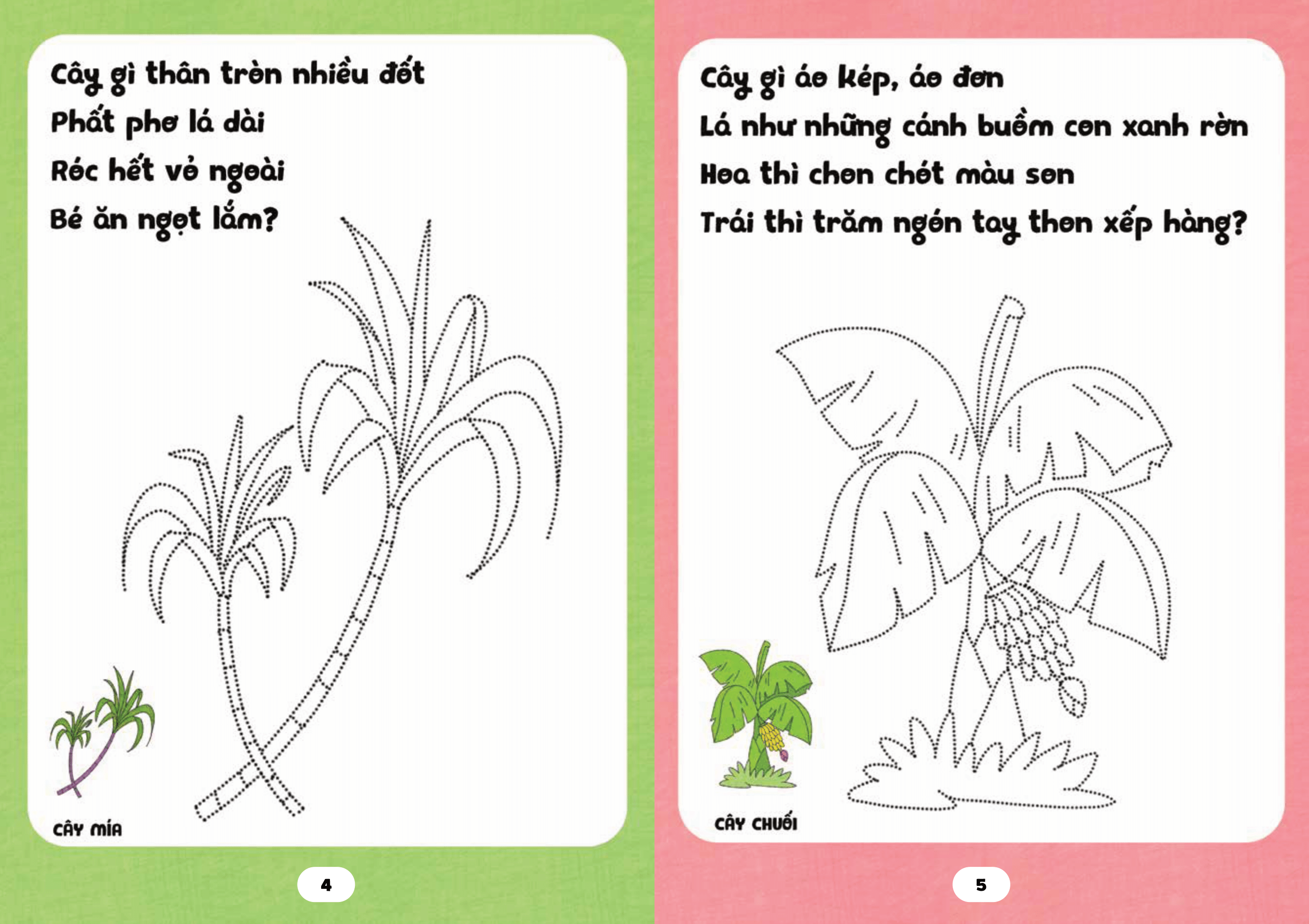 bé tập tô phát triển tư duy - câu đố về các loài cây