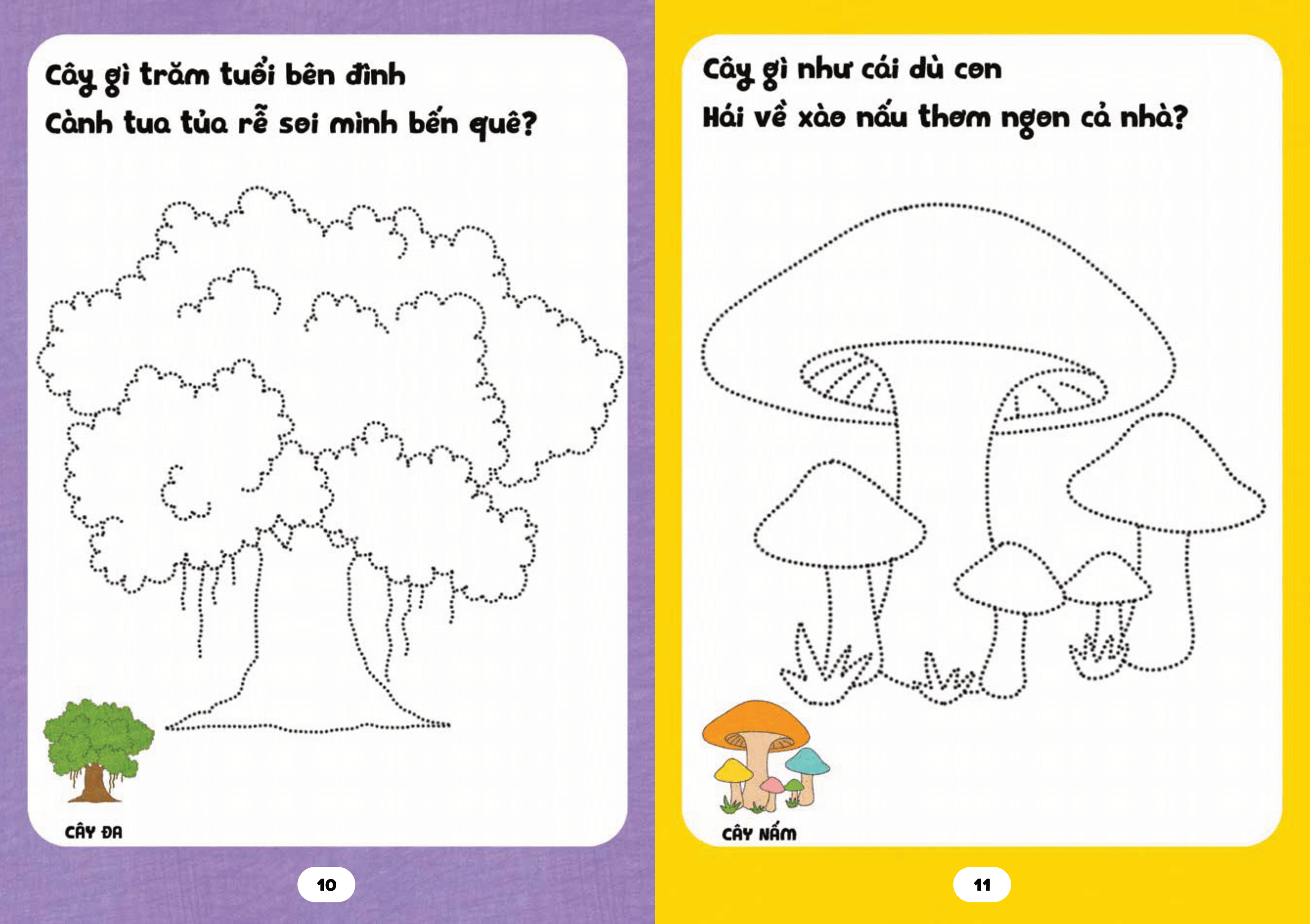 bé tập tô phát triển tư duy - câu đố về các loài cây