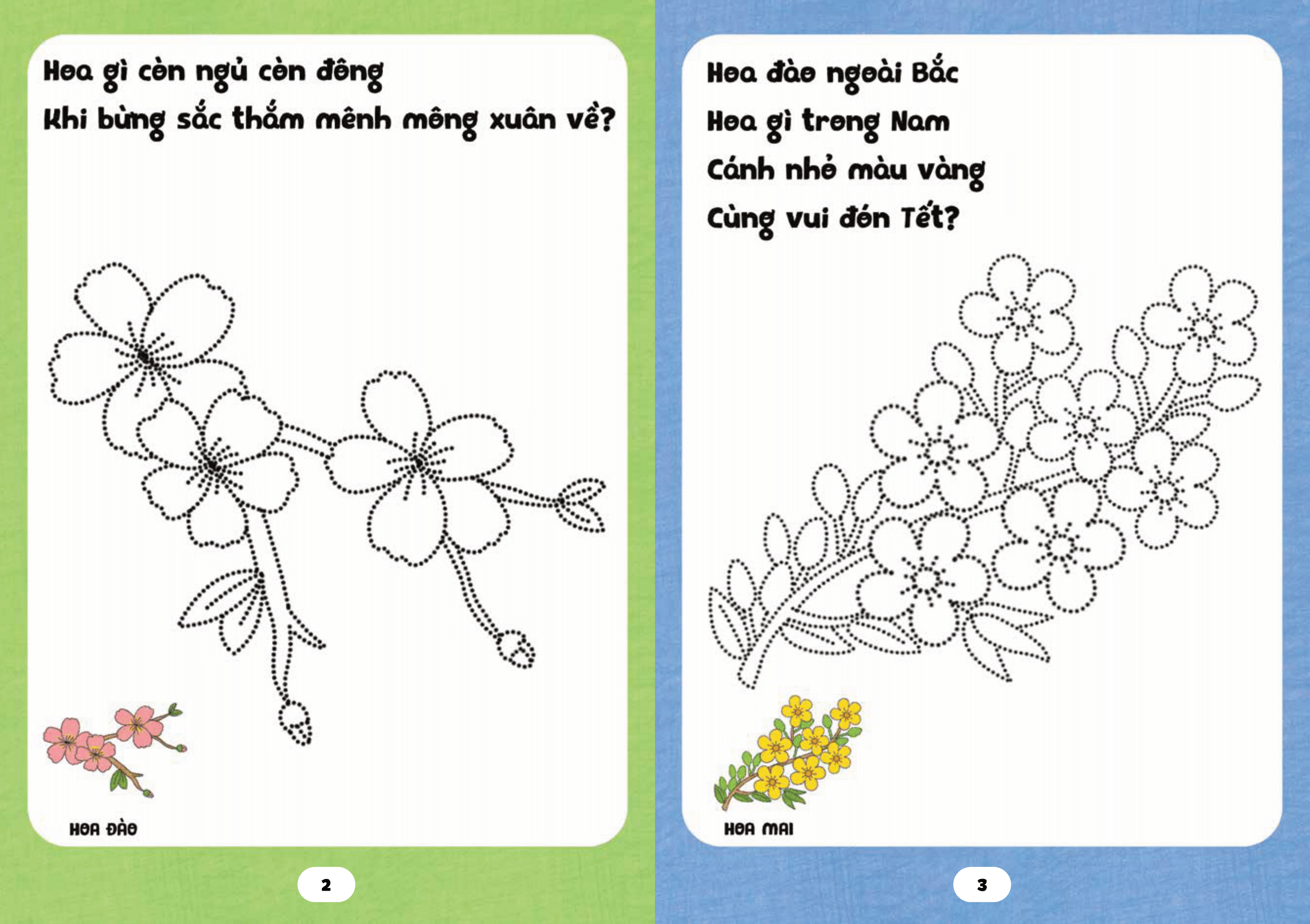 bé tập tô phát triển tư duy - câu đố về các loài hoa