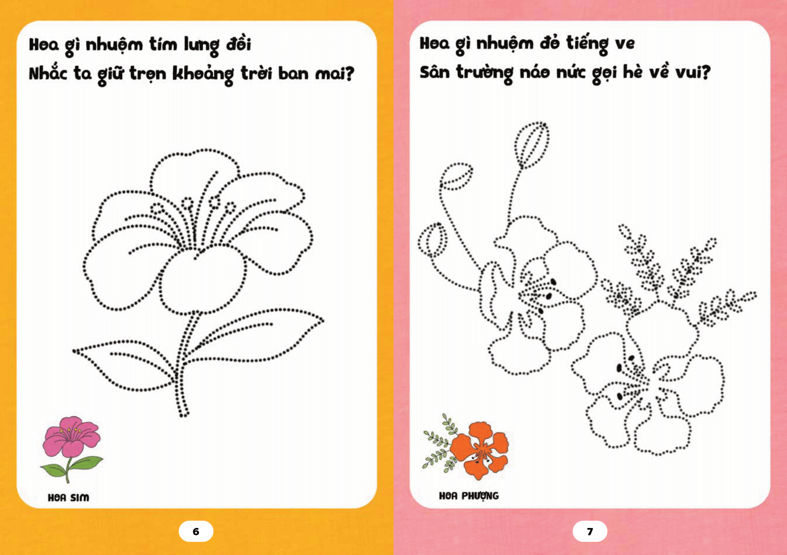 bé tập tô phát triển tư duy - câu đố về các loài hoa