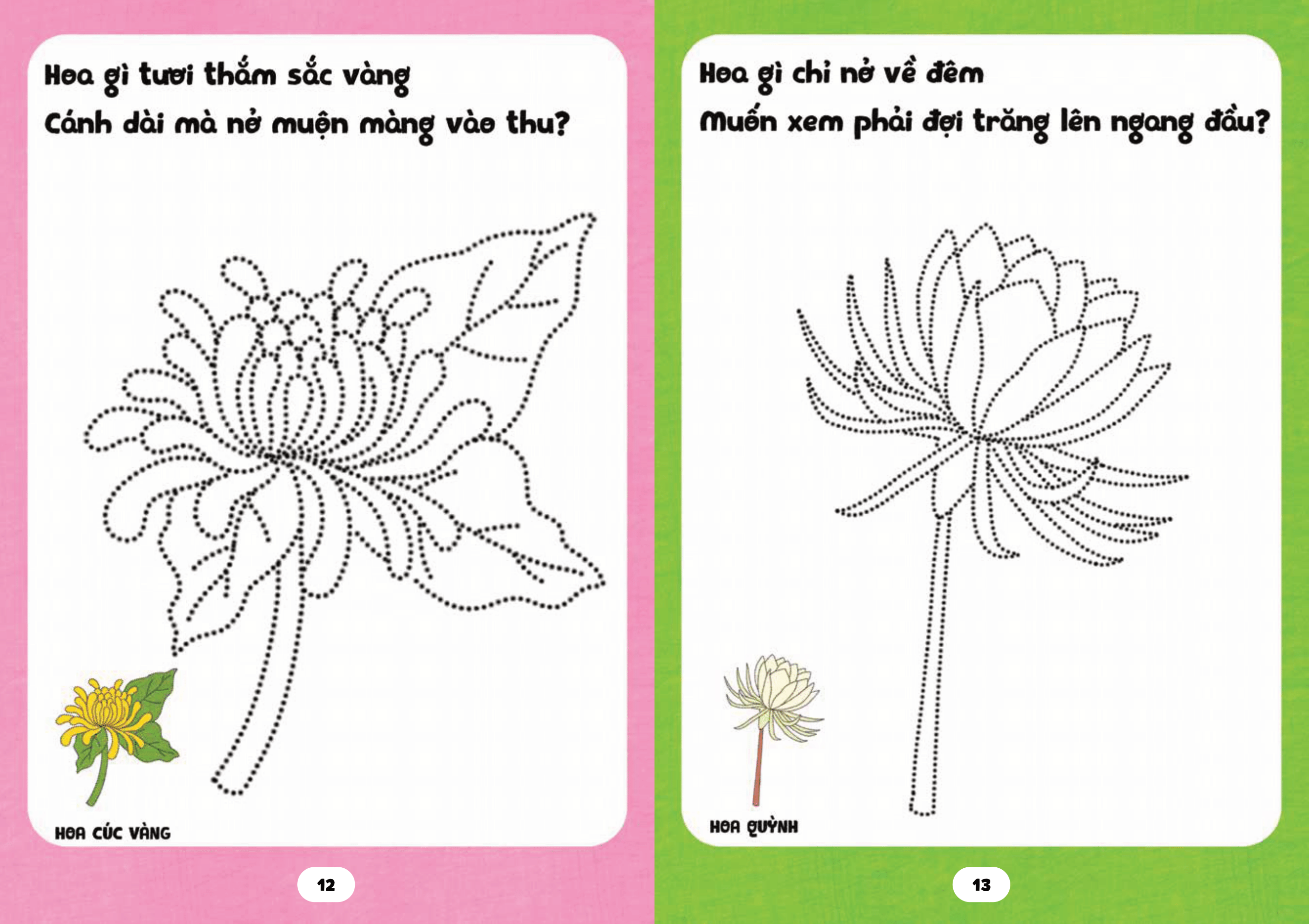 bé tập tô phát triển tư duy - câu đố về các loài hoa