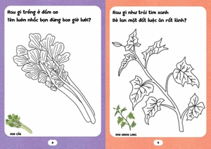 bé tập tô phát triển tư duy - câu đố về rau củ