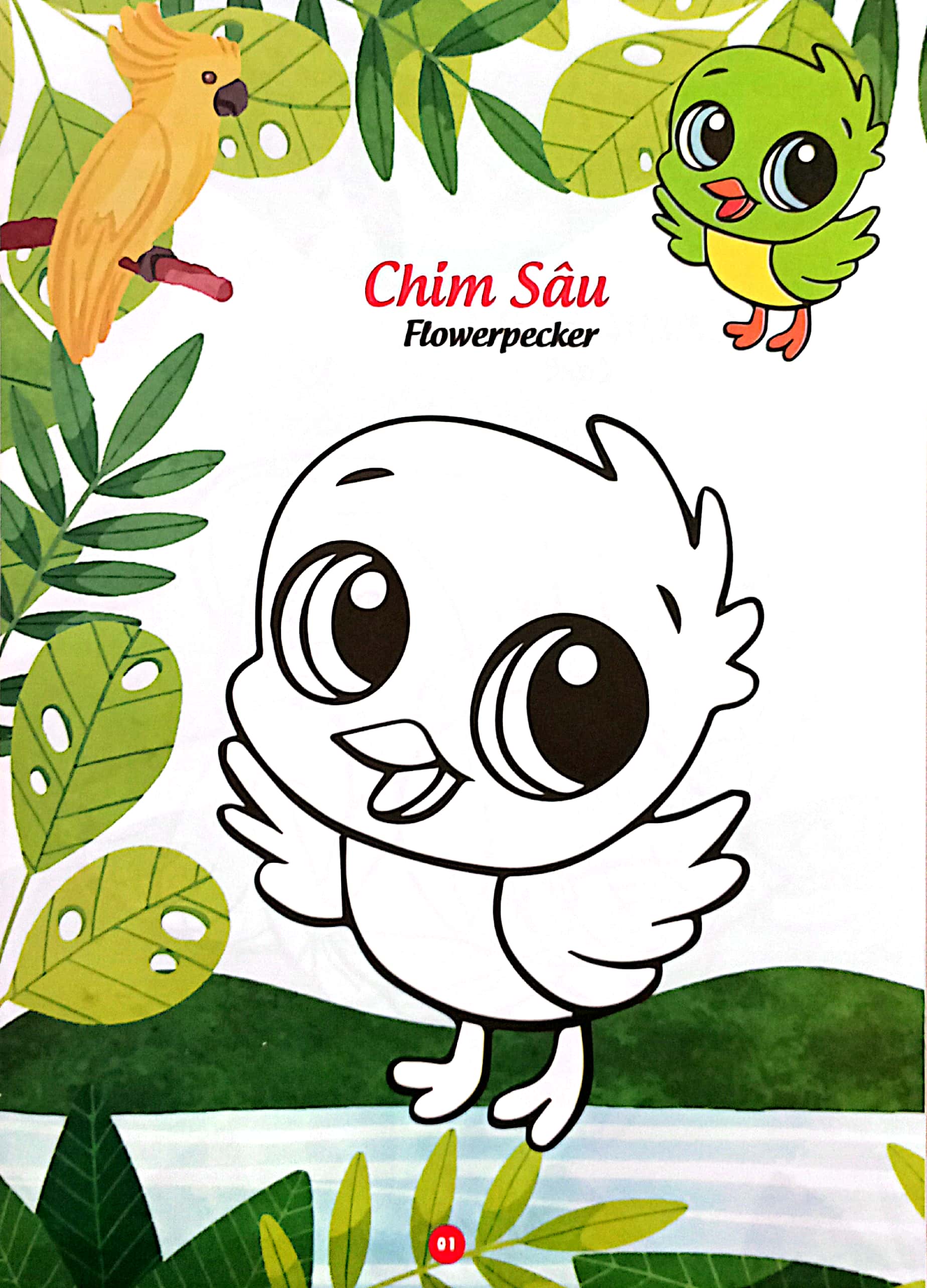 bé thỏa sức sáng tạo phát triển iq-eq-cq -bé tô màu và học tiếng anh theo chủ đề - các loại chim