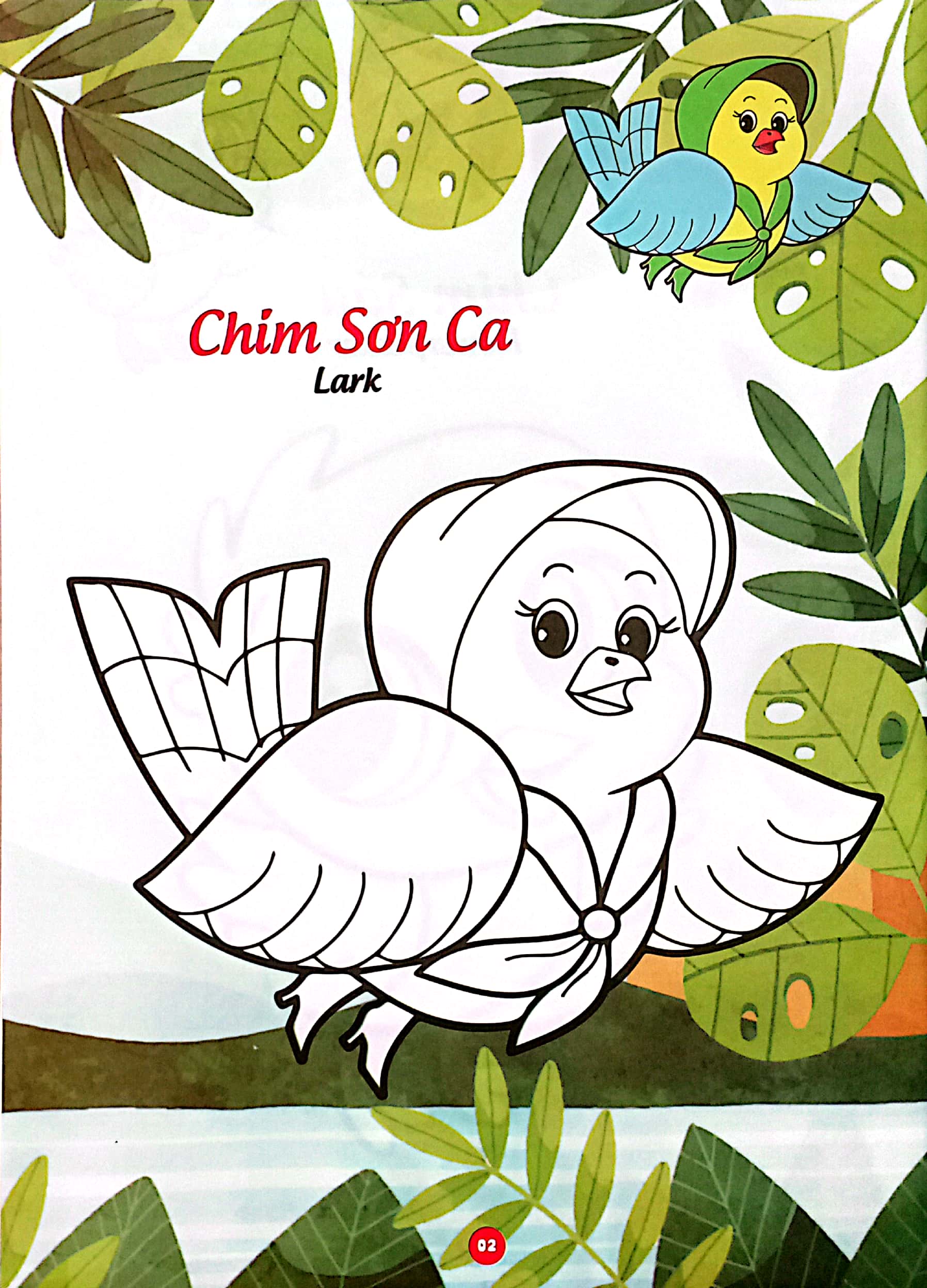 bé thỏa sức sáng tạo phát triển iq-eq-cq -bé tô màu và học tiếng anh theo chủ đề - các loại chim