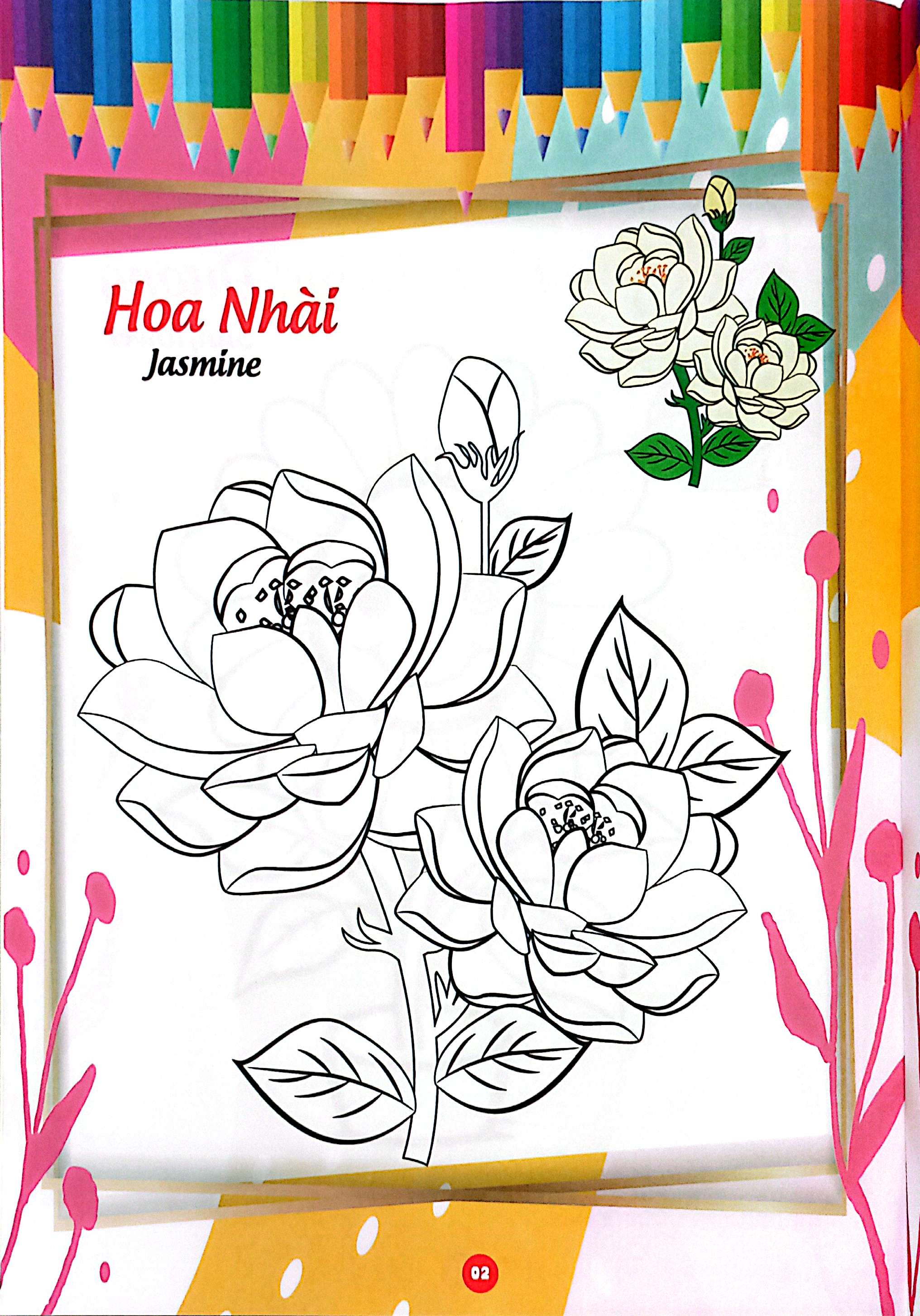 bé thỏa sức sáng tạo phát triển iq-eq-cq - bé tô màu và học tiếng anh theo chủ đề - các loài hoa