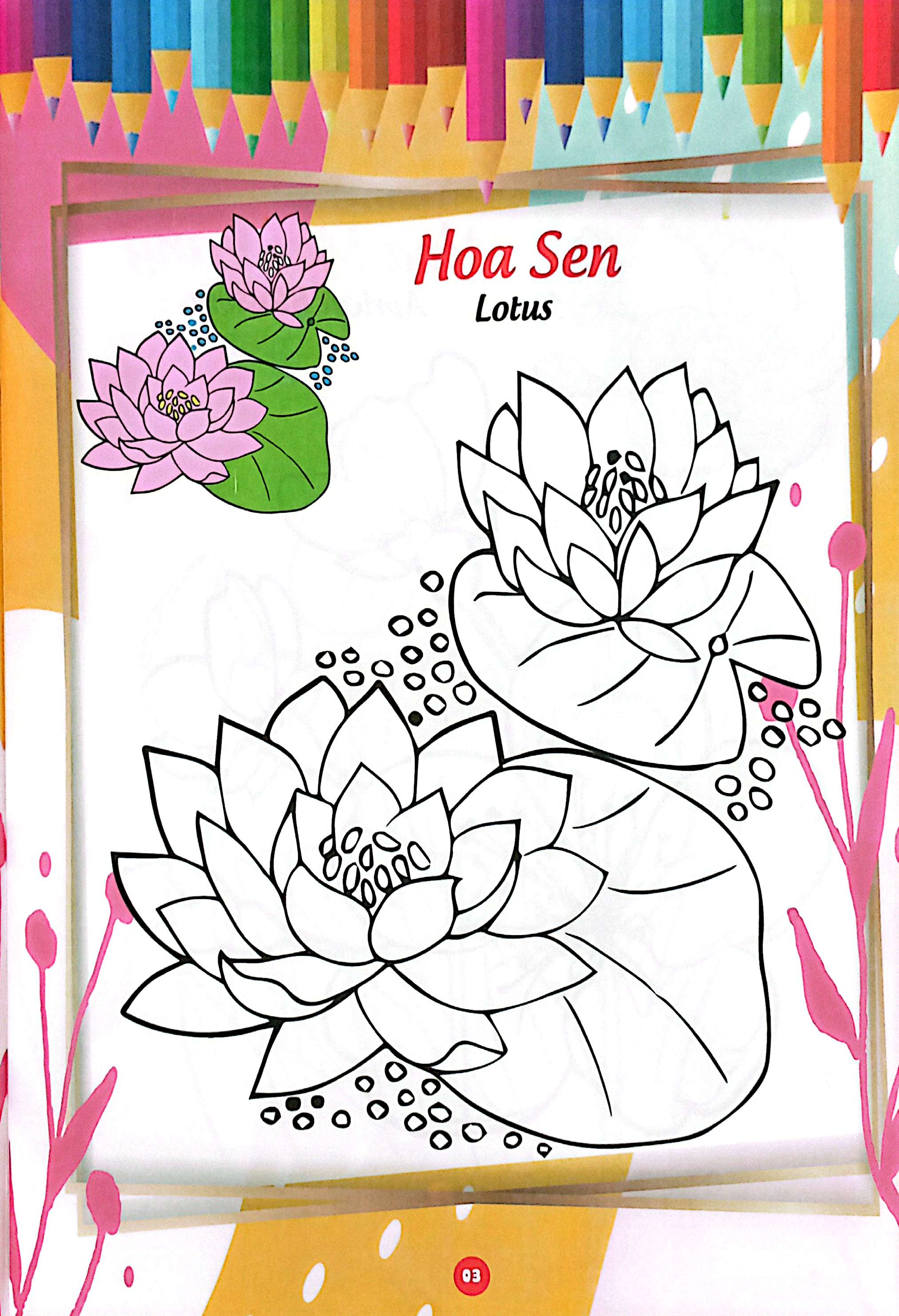 bé thỏa sức sáng tạo phát triển iq-eq-cq - bé tô màu và học tiếng anh theo chủ đề - các loài hoa