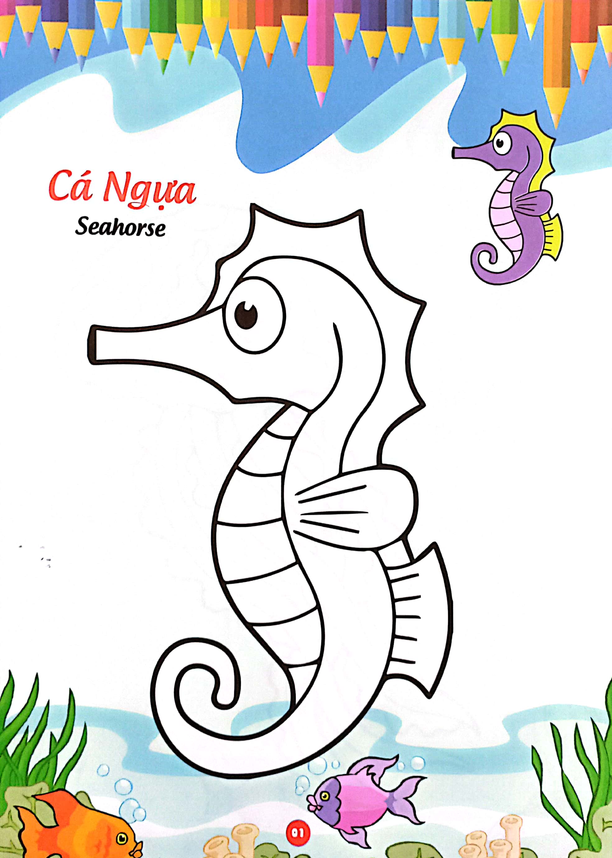 bé thỏa sức sáng tạo phát triển iq-eq-cq -bé tô màu và học tiếng anh theo chủ đề - động vật biển