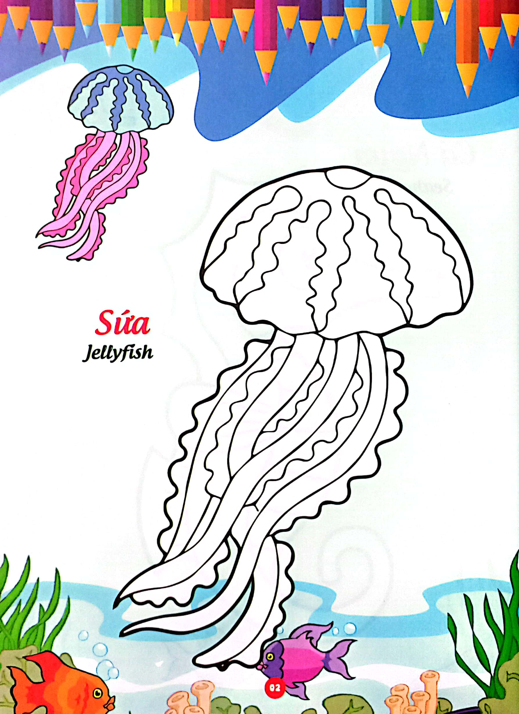 bé thỏa sức sáng tạo phát triển iq-eq-cq -bé tô màu và học tiếng anh theo chủ đề - động vật biển