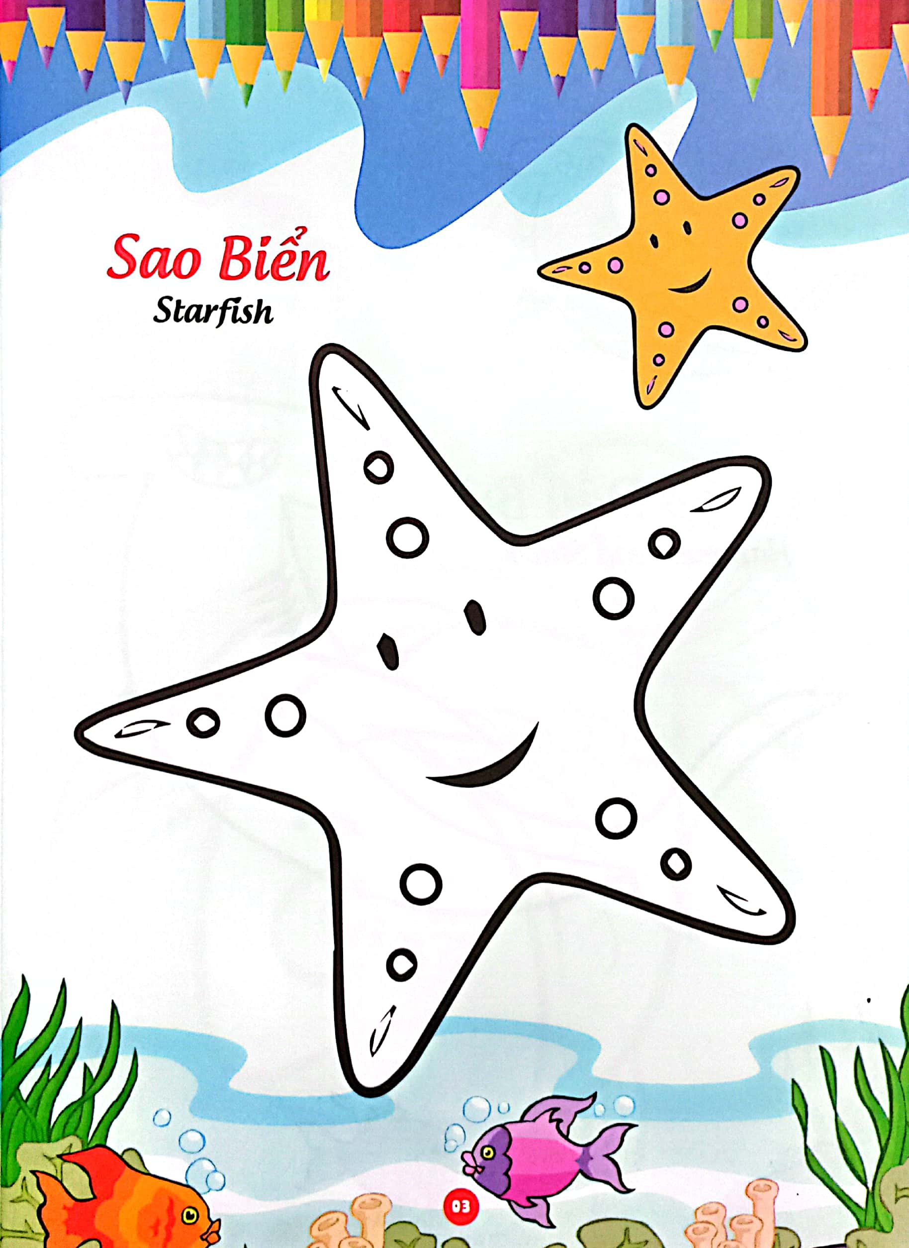 bé thỏa sức sáng tạo phát triển iq-eq-cq -bé tô màu và học tiếng anh theo chủ đề - động vật biển