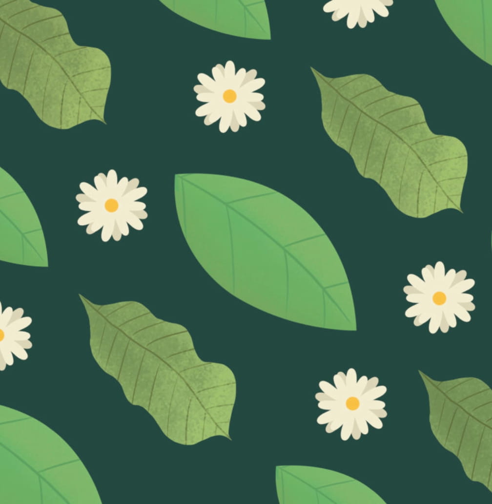 bé thông minh - đóng mở kì diệu - bên dưới chiếc lá - bìa cứng