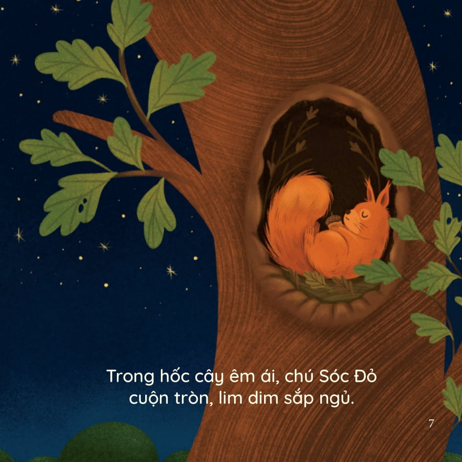 bé thông minh - sinh hoạt hằng ngày - đi ngủ nào! - bìa cứng