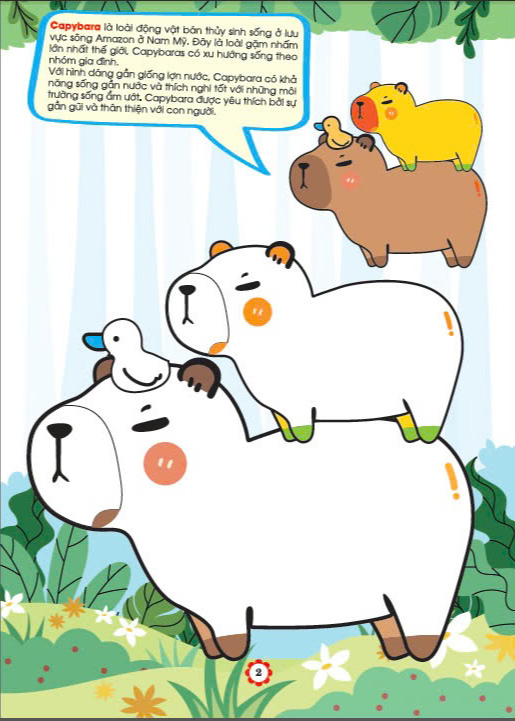 bé tô màu capybara gần gũi và thân thiện với các bạn