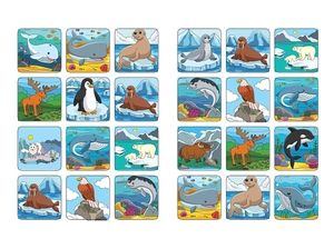 bé tô màu - khám phá bắc cực lạnh giá